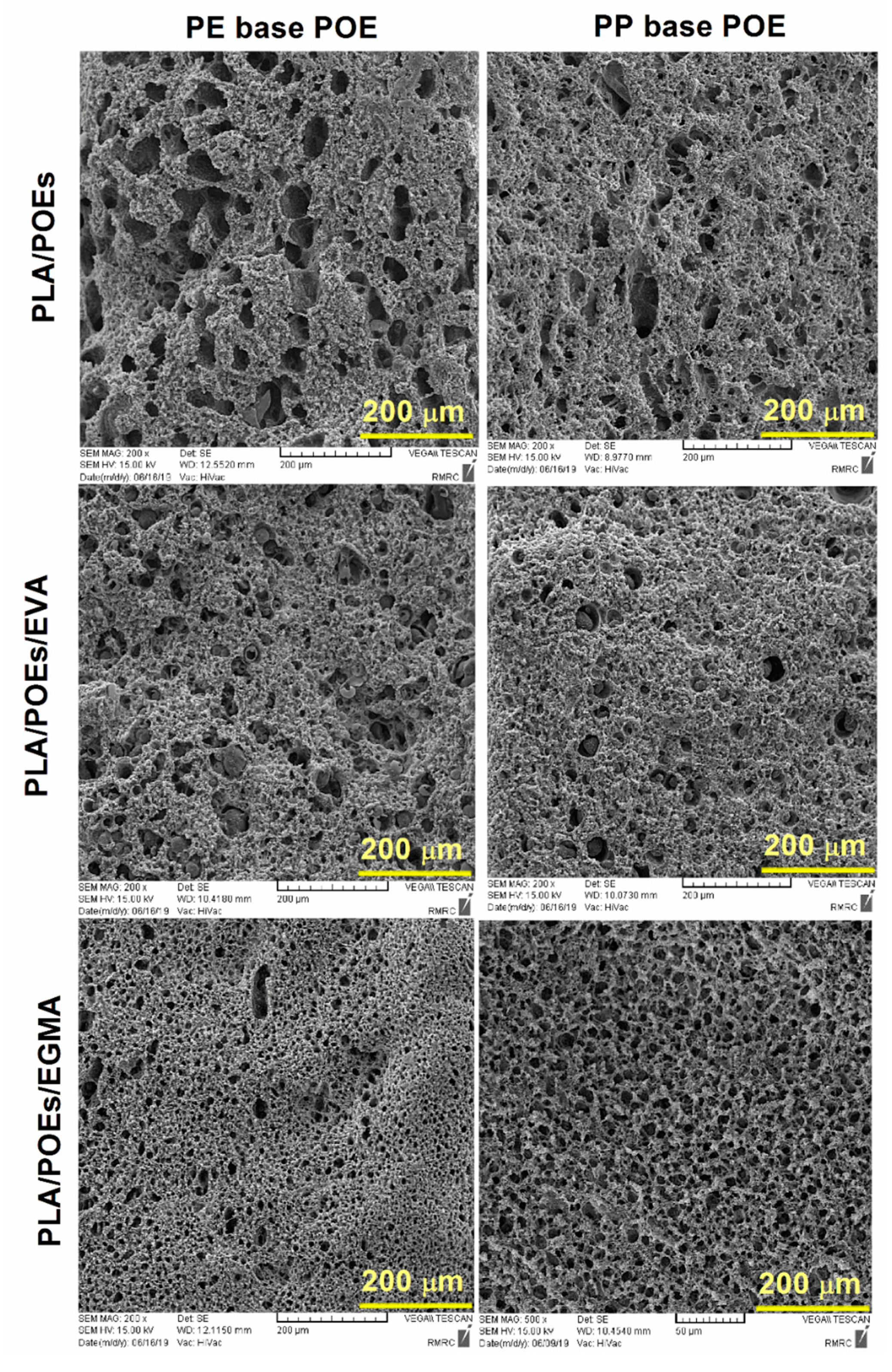 Jcs 04 00065 g002 Jcs 04 00065 g002
