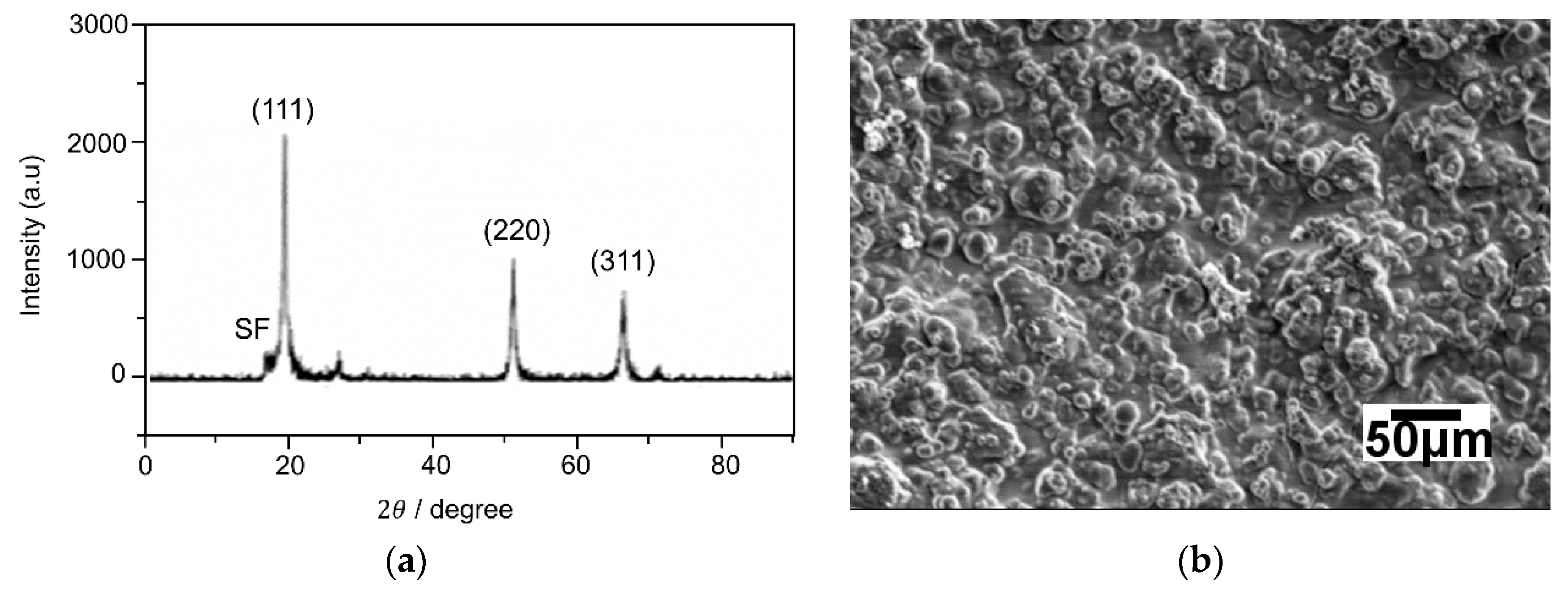 Jcs 04 00086 g001 Jcs 04 00086 g001