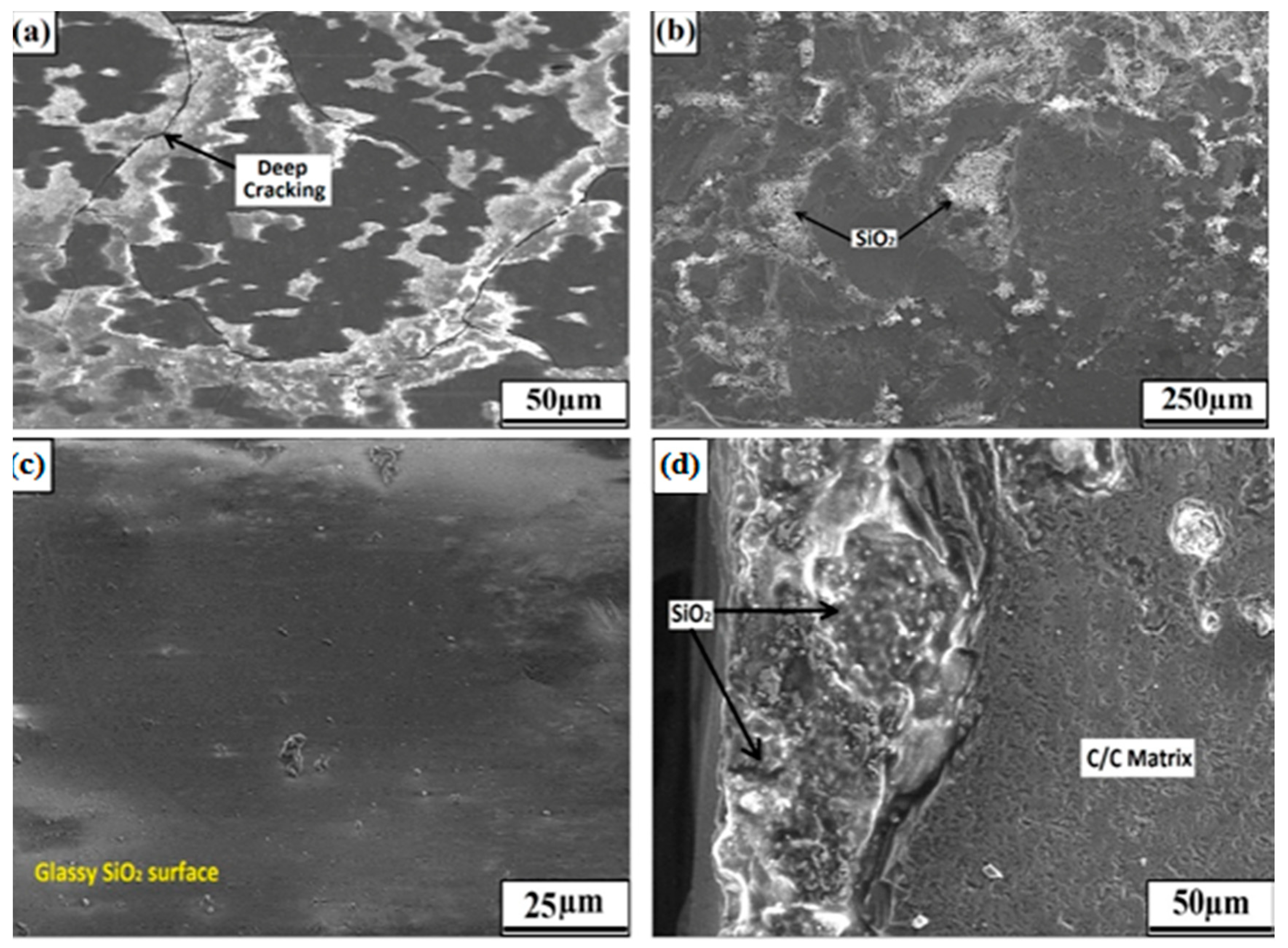 Jcs 04 00086 g007 Jcs 04 00086 g007