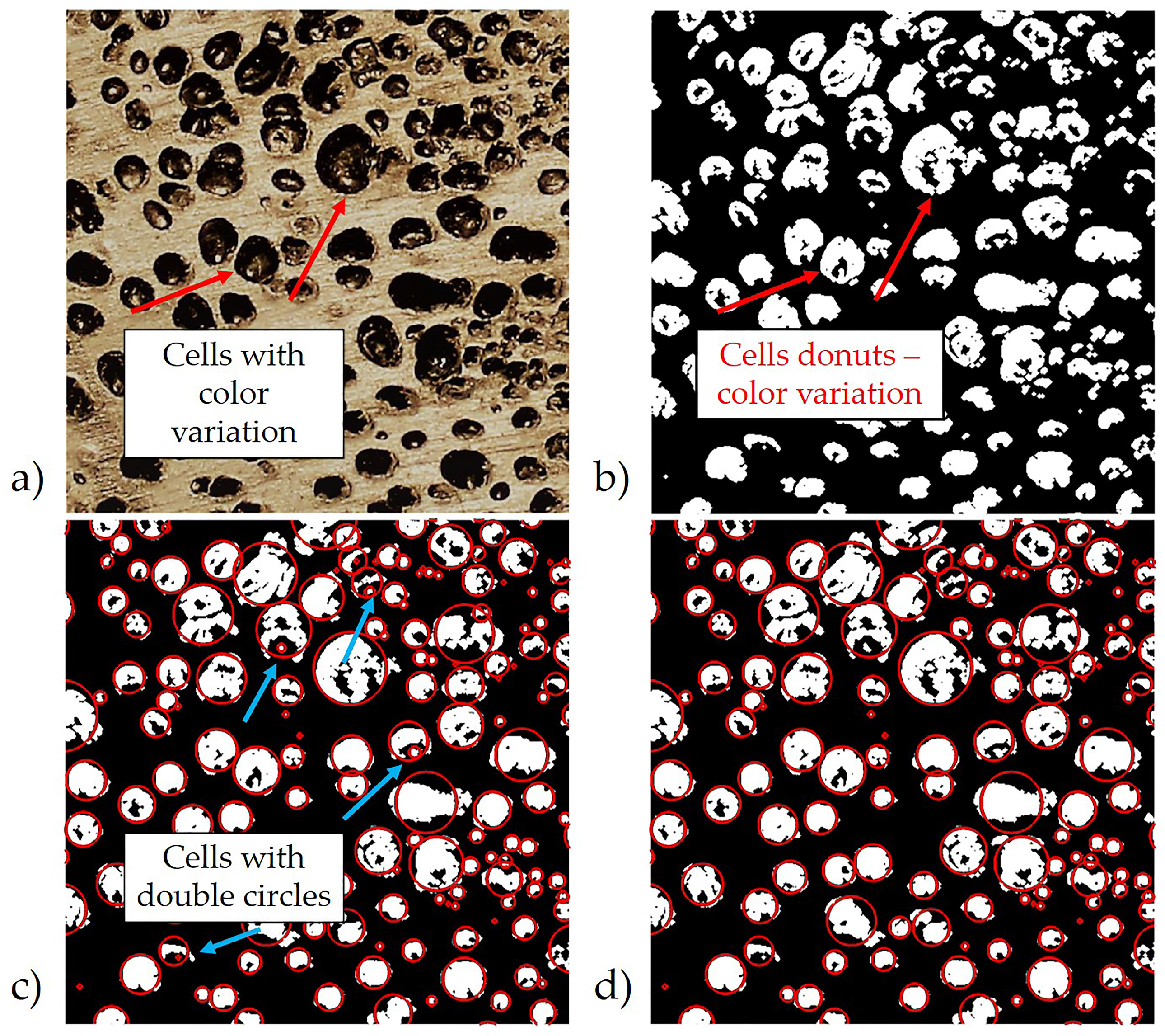 Jcs 04 00093 g003 Jcs 04 00093 g003