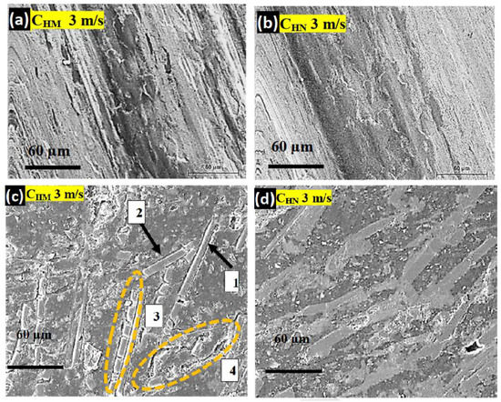 Recent Progress in the Study of Thermal Properties and