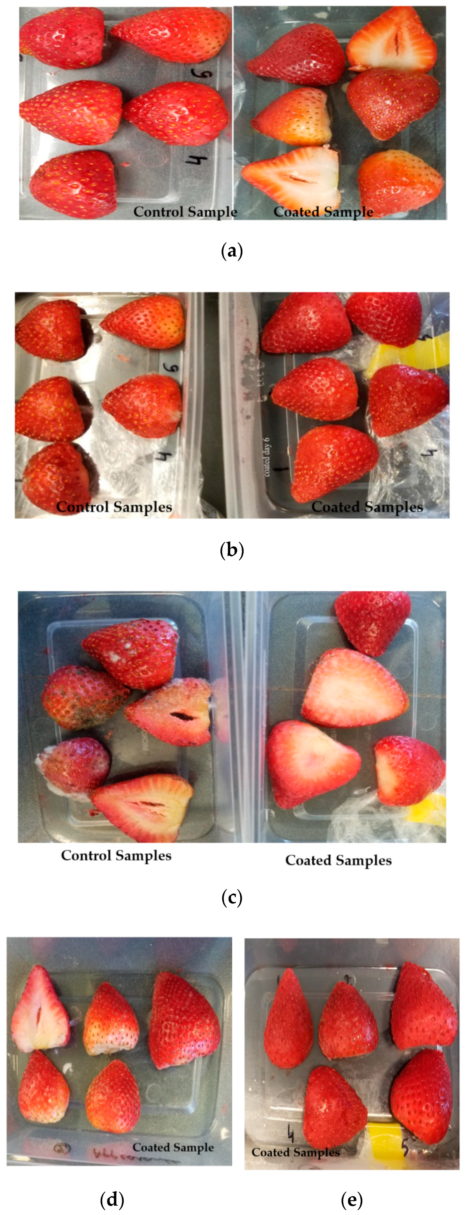 Jcs 04 00123 g005 Jcs 04 00123 g005