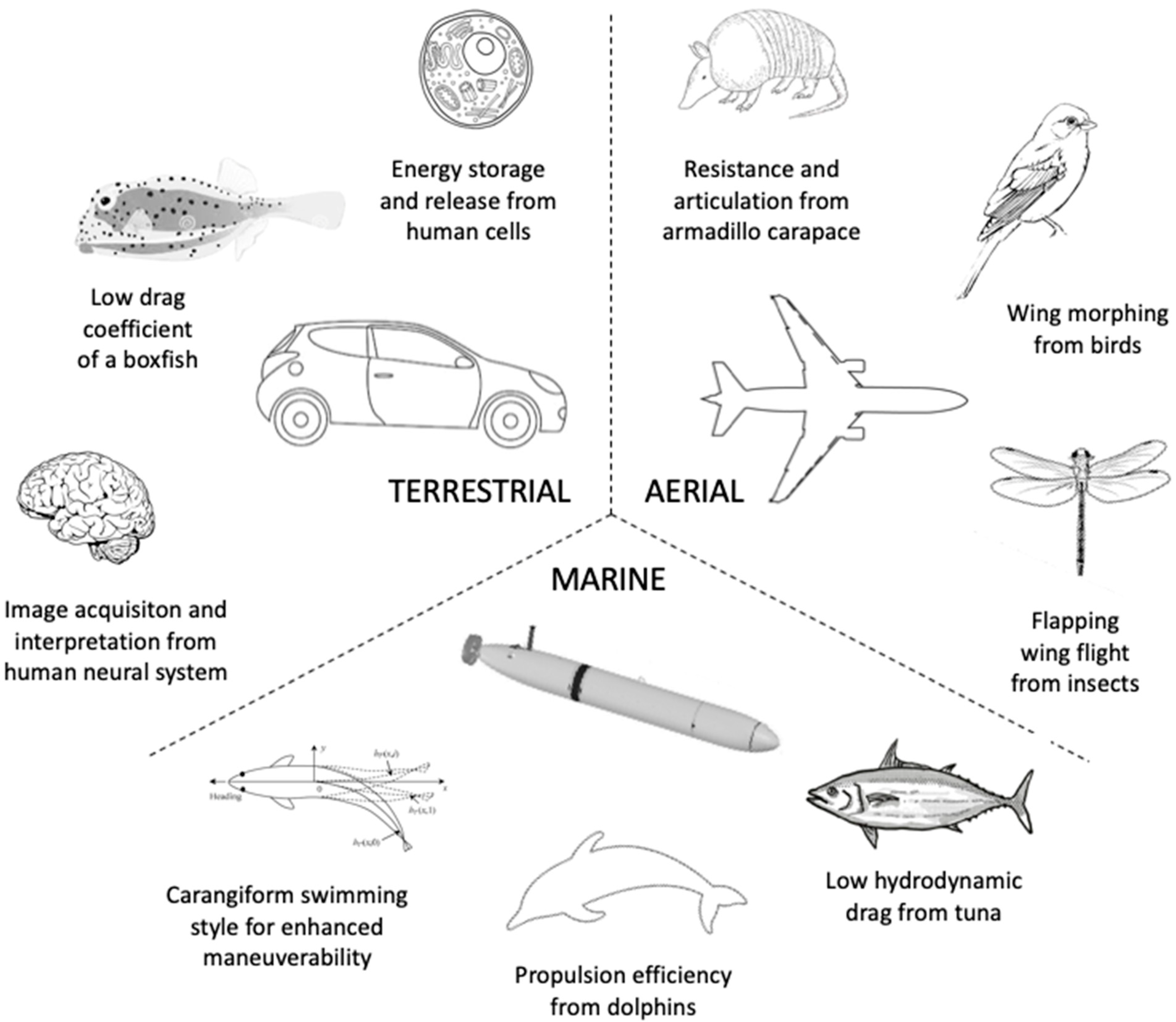 Jcs 05 00022 g005 Jcs 05 00022 g005