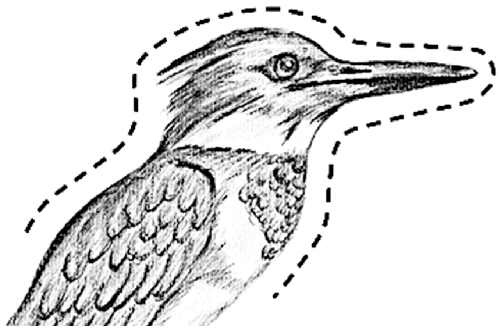 Jcs 05 00022 g006 Jcs 05 00022 g006