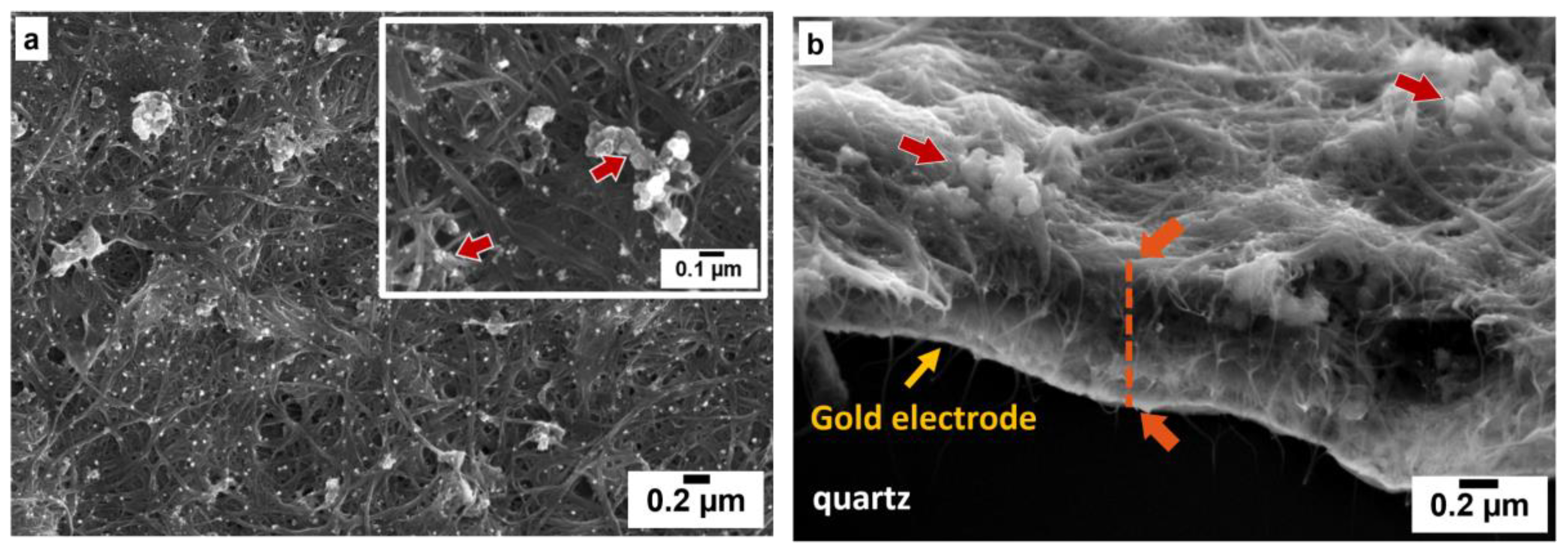 Jcs 05 00025 g001 Jcs 05 00025 g001