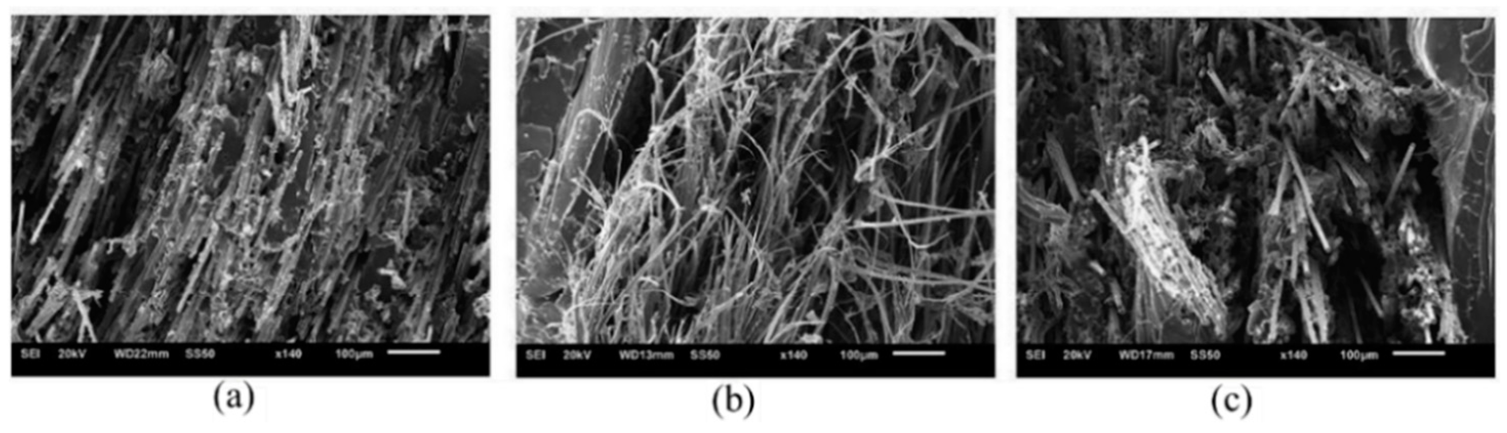 Jcs 05 00029 g026 Jcs 05 00029 g026