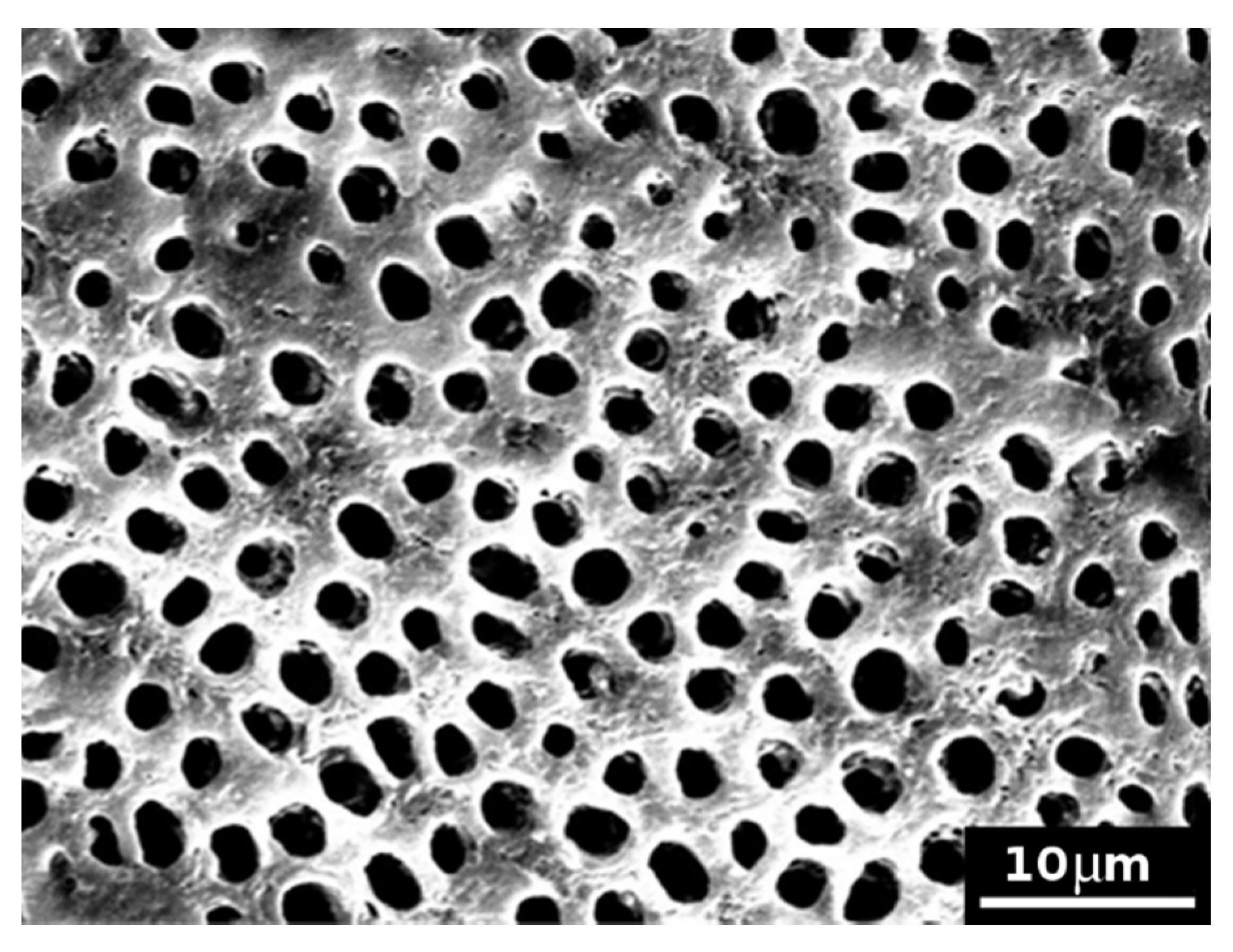 Jcs 05 00030 g003 Jcs 05 00030 g003