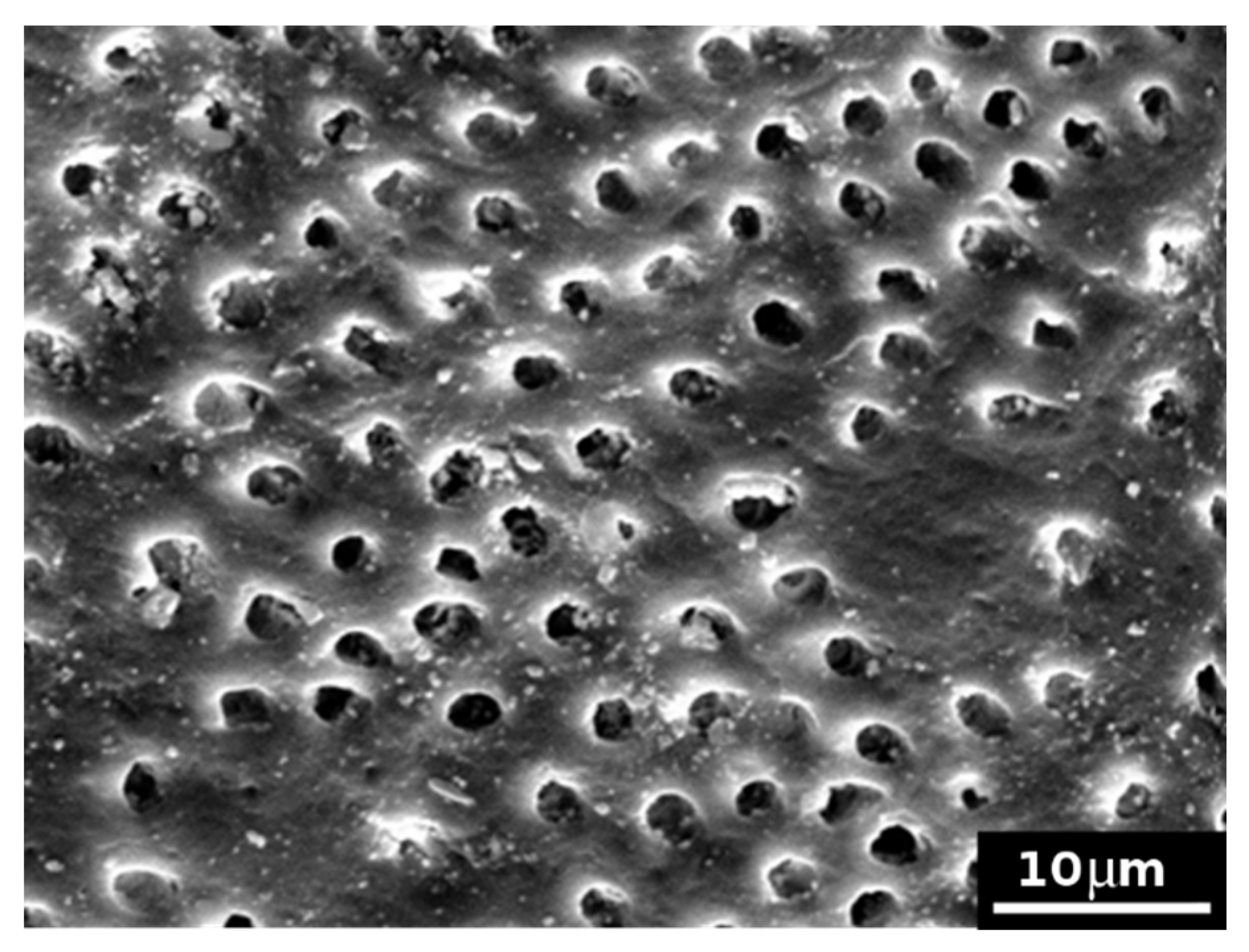 Jcs 05 00030 g009 Jcs 05 00030 g009