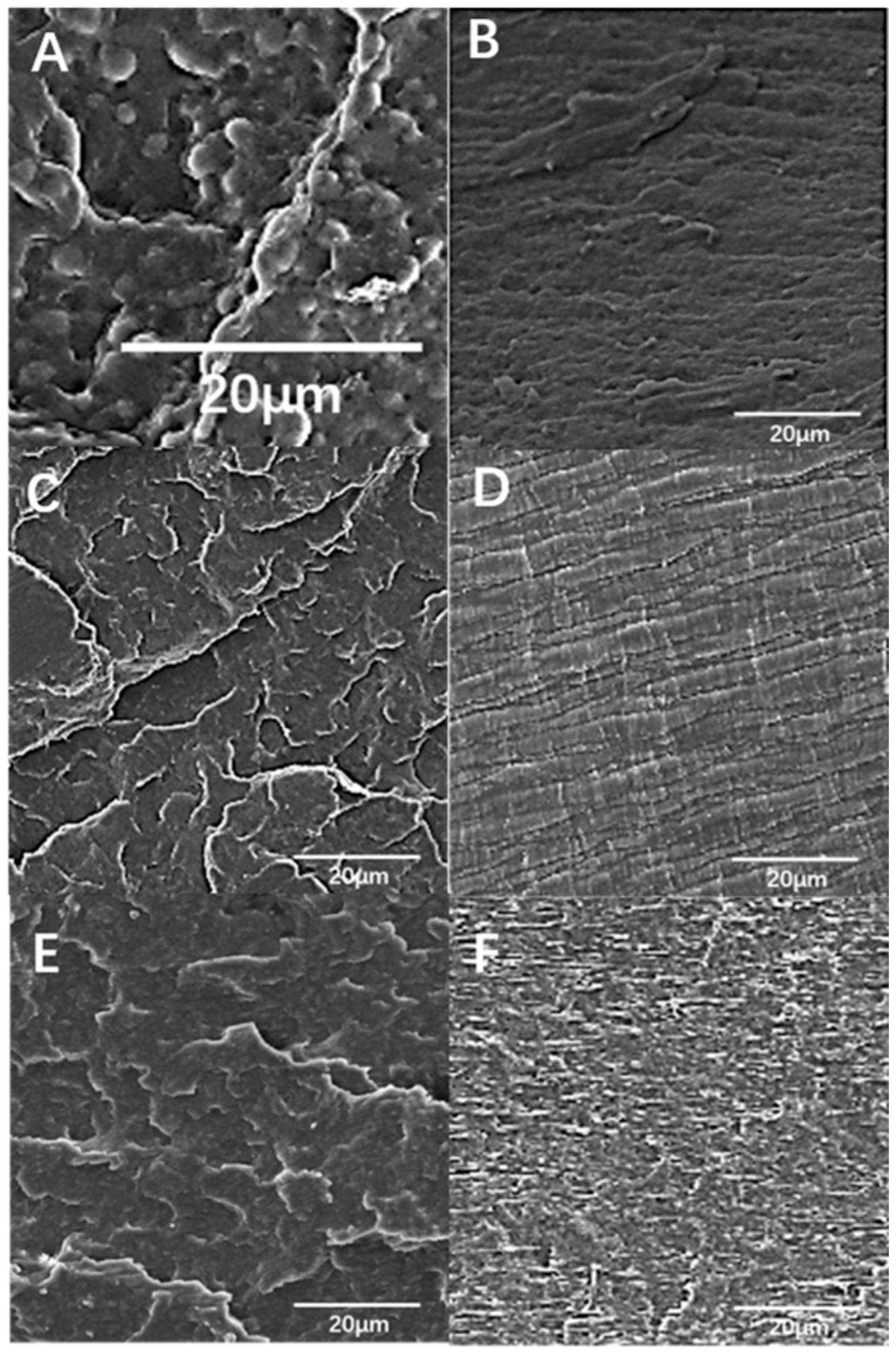 Jcs 05 00064 g002 Jcs 05 00064 g002