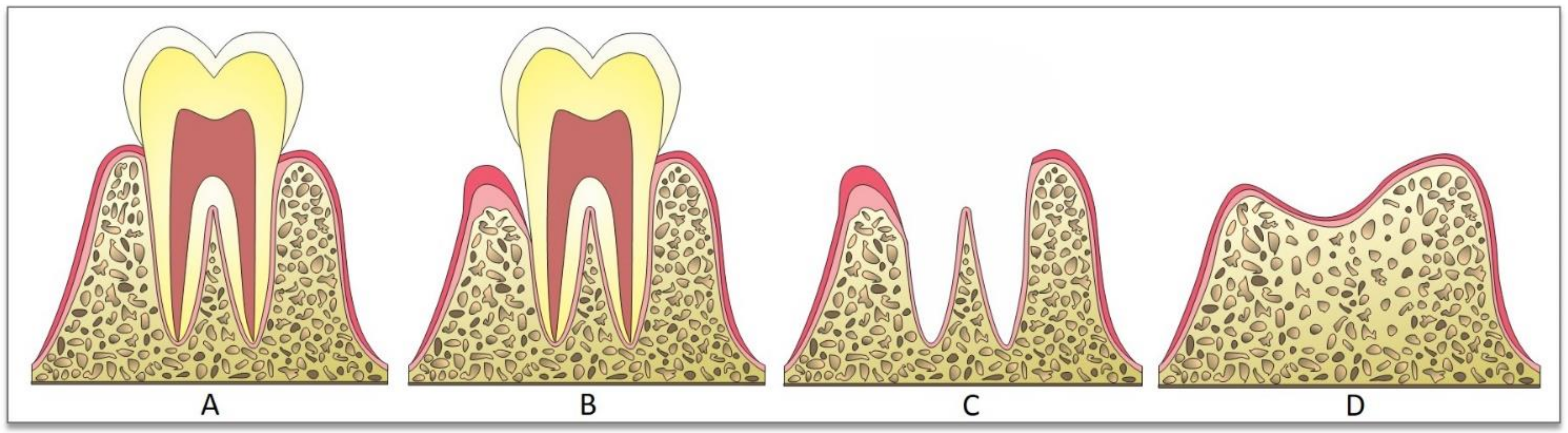 Jcs 05 00078 g001 Jcs 05 00078 g001
