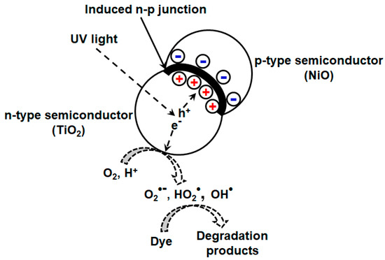 Transition Metal Oxides and Their Composites for Transition Metal Oxides and Their Composites for