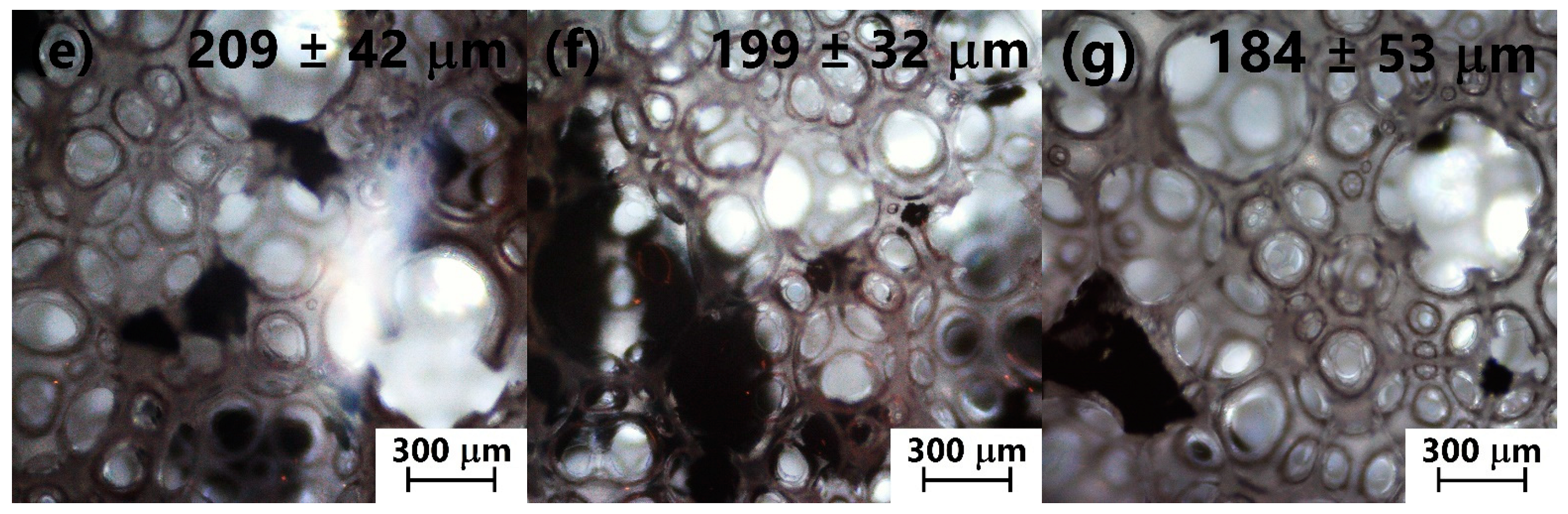 Jcs 05 00090 g003b Jcs 05 00090 g003b