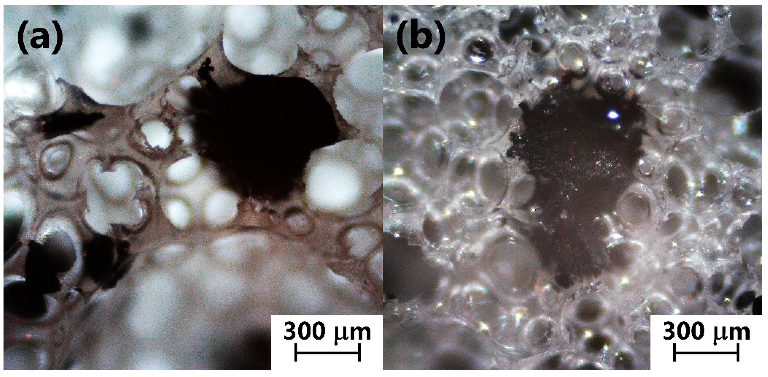 Jcs 05 00090 g004 Jcs 05 00090 g004