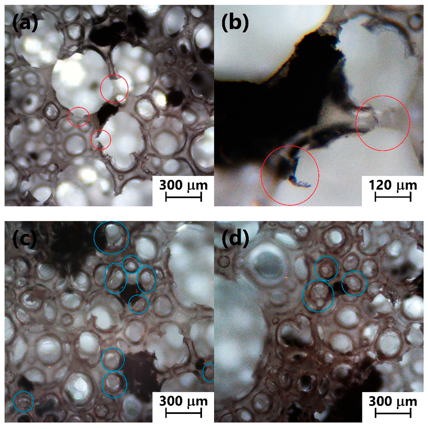 Jcs 05 00090 g006 Jcs 05 00090 g006