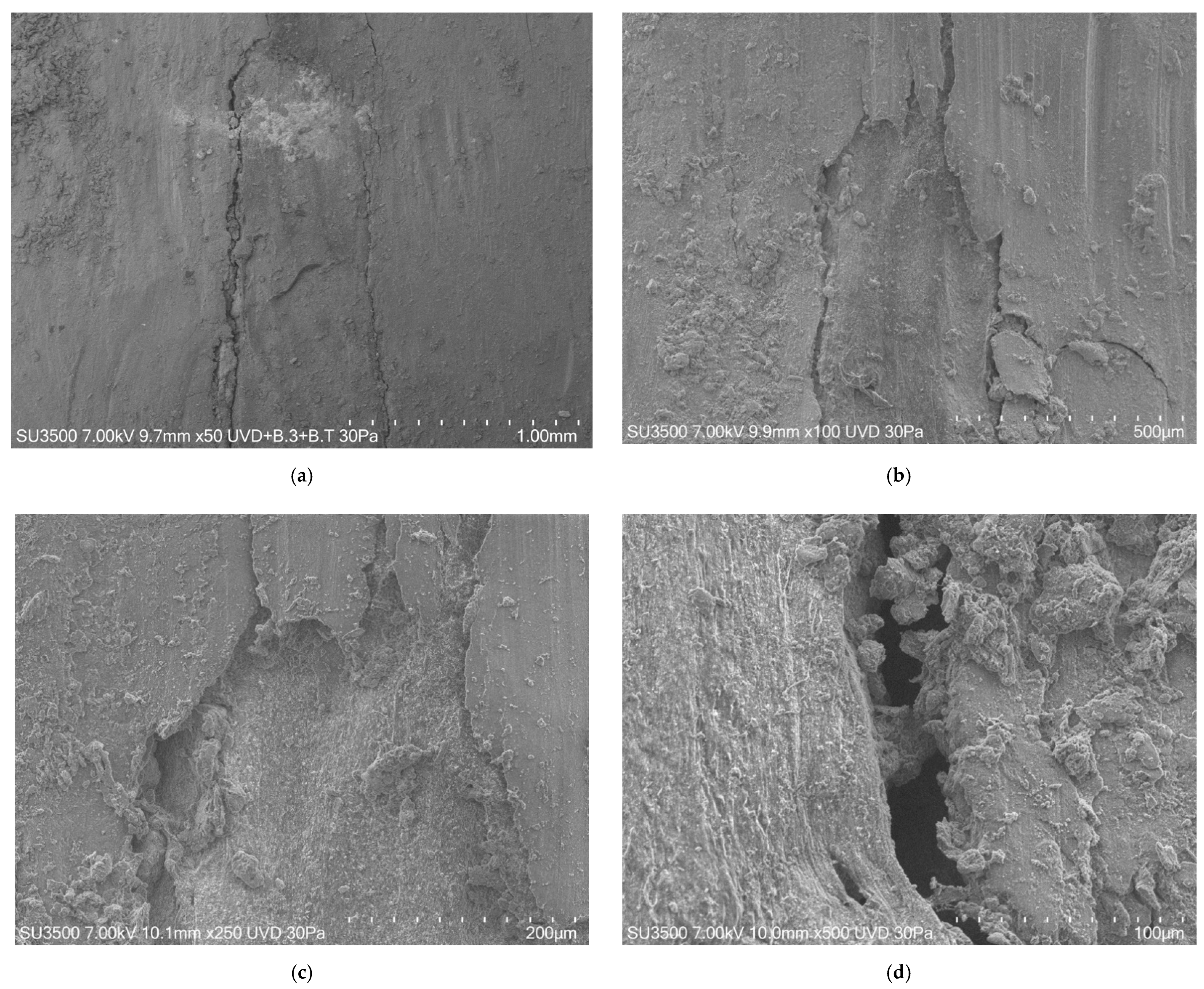 Jcs 05 00099 g002 Jcs 05 00099 g002