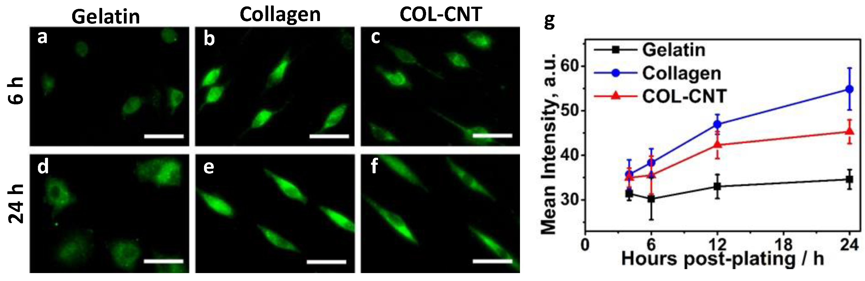 Jcs 05 00148 g005 Jcs 05 00148 g005