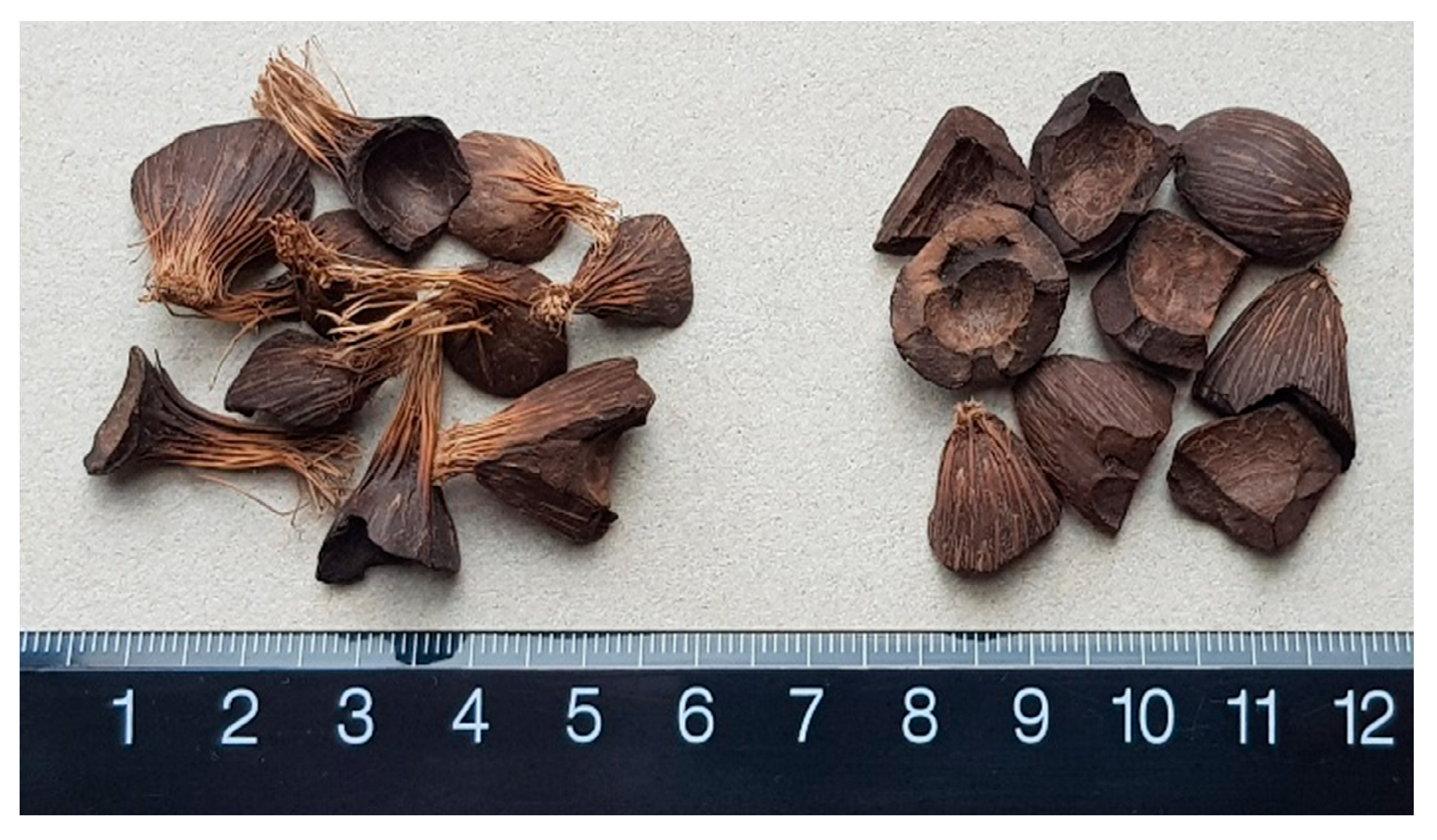 Jcs 05 00156 g003 Jcs 05 00156 g003