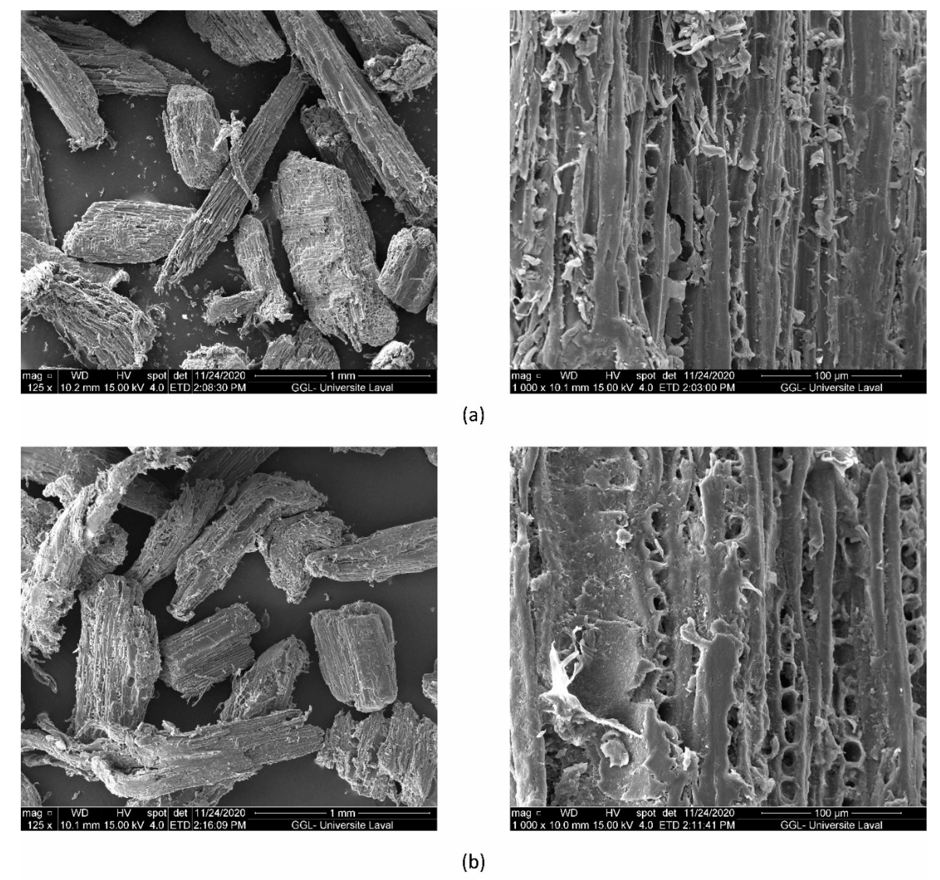 Jcs 05 00177 g005 550