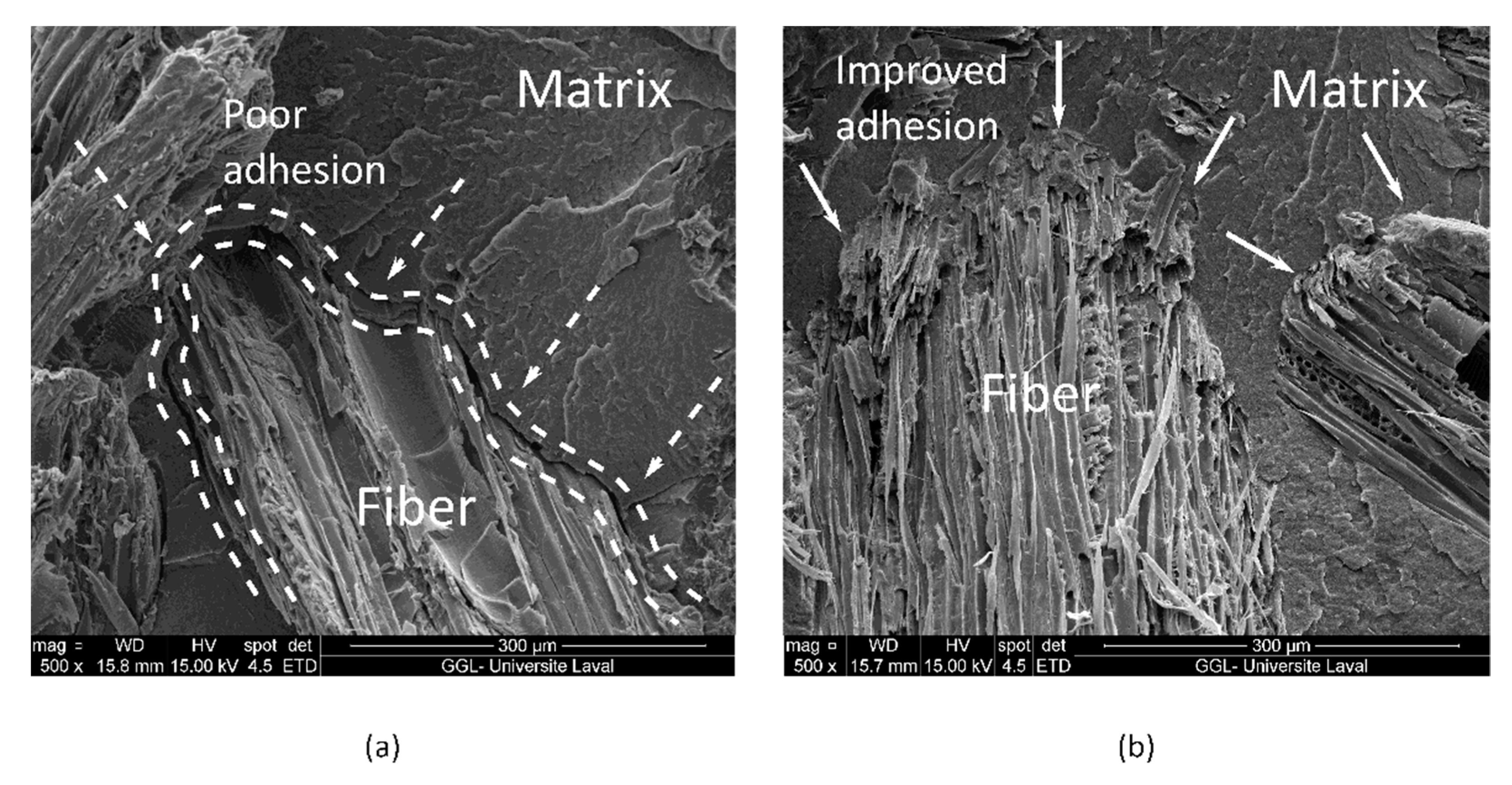 Jcs 05 00177 g006 550