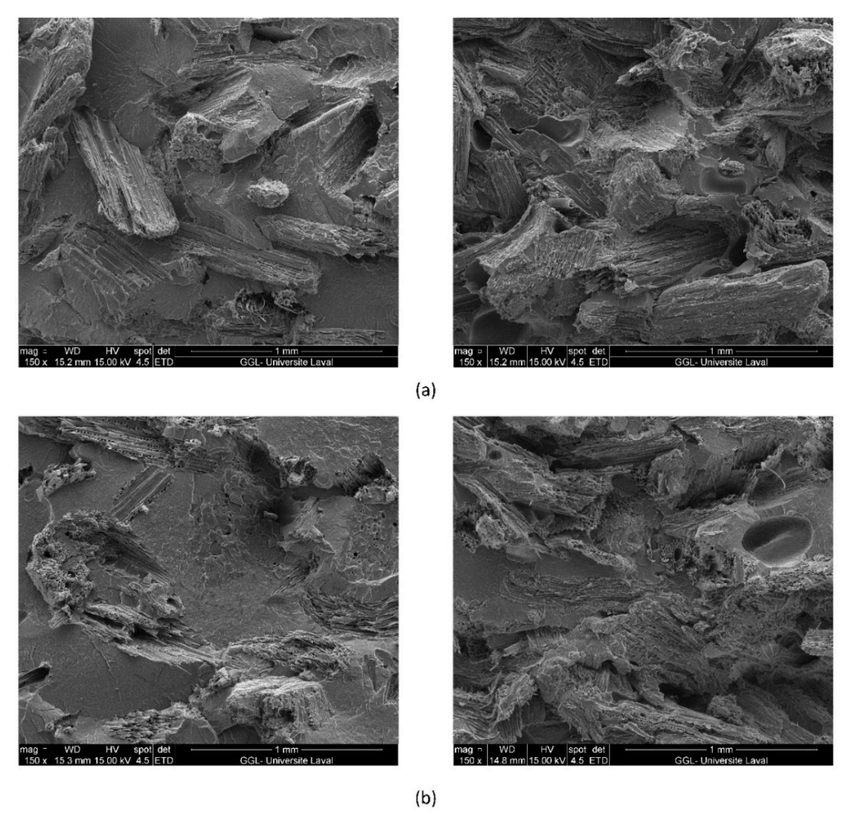 Jcs 05 00177 g007 550