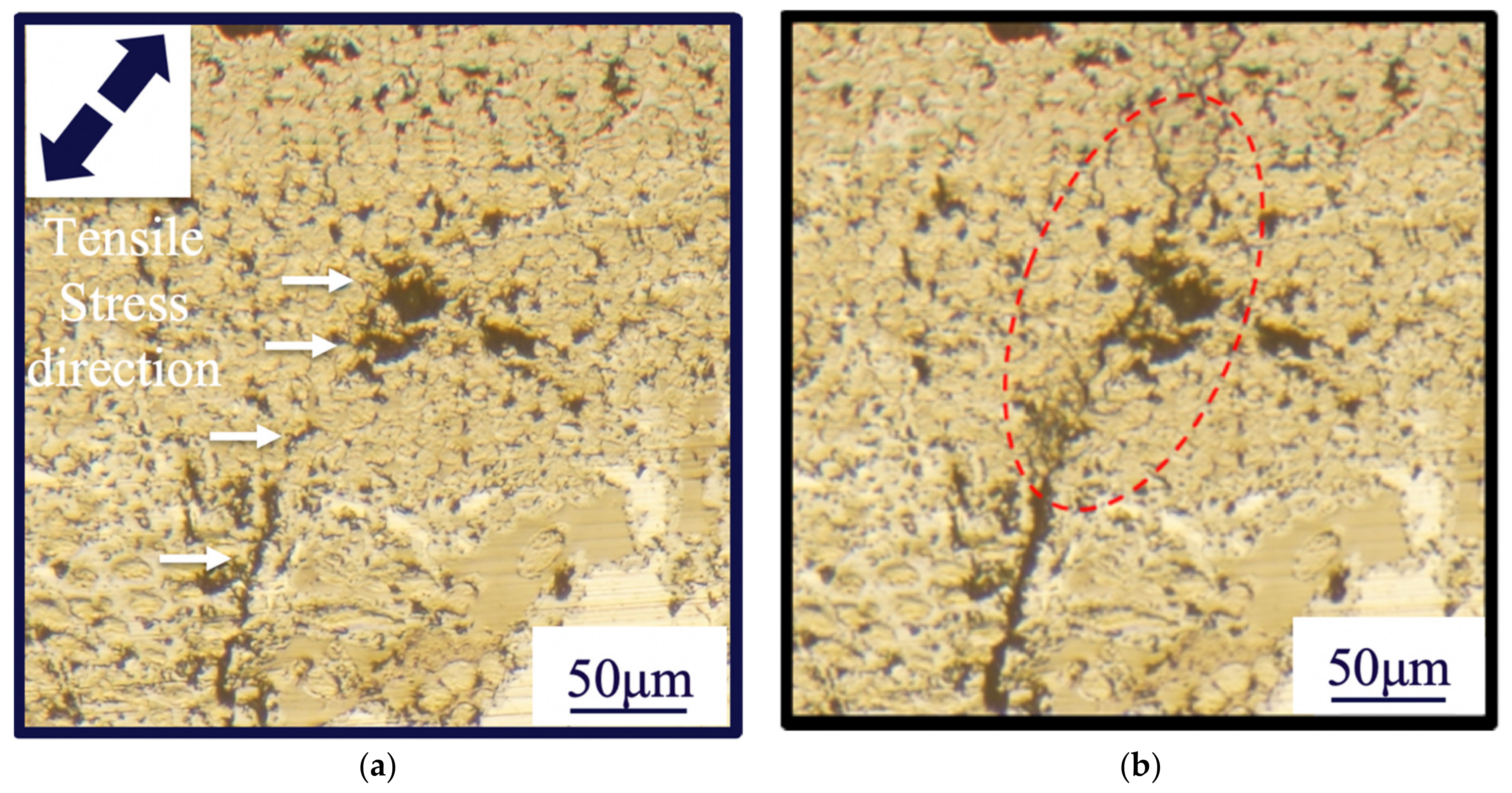 Jcs 05 00230 g011 550