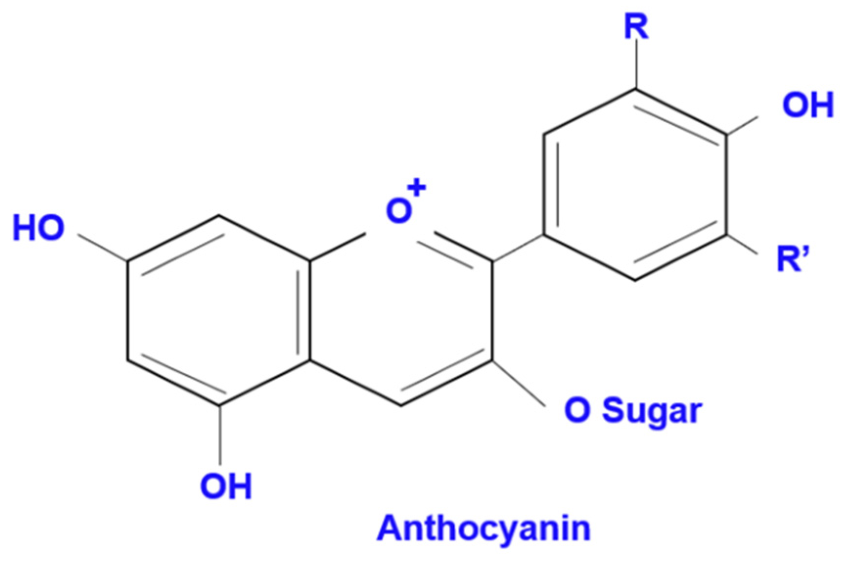 Jcs 05 00288 g002 550