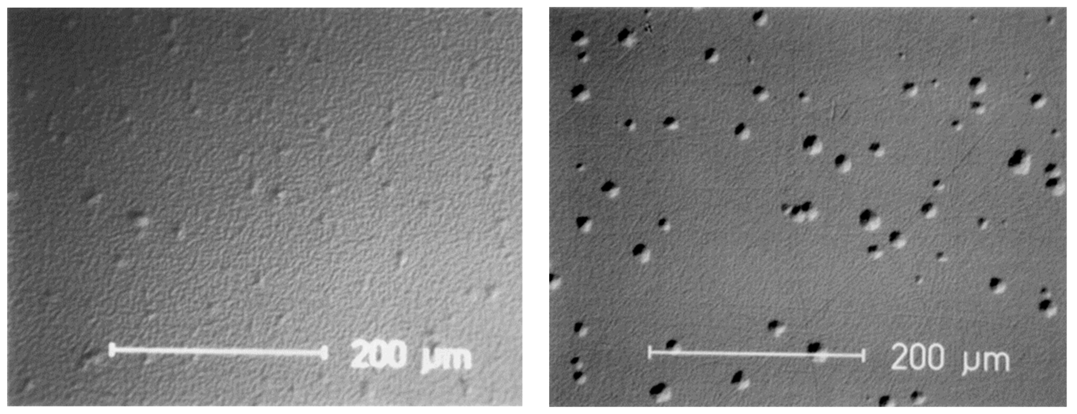 Jcs 05 00306 g021 550