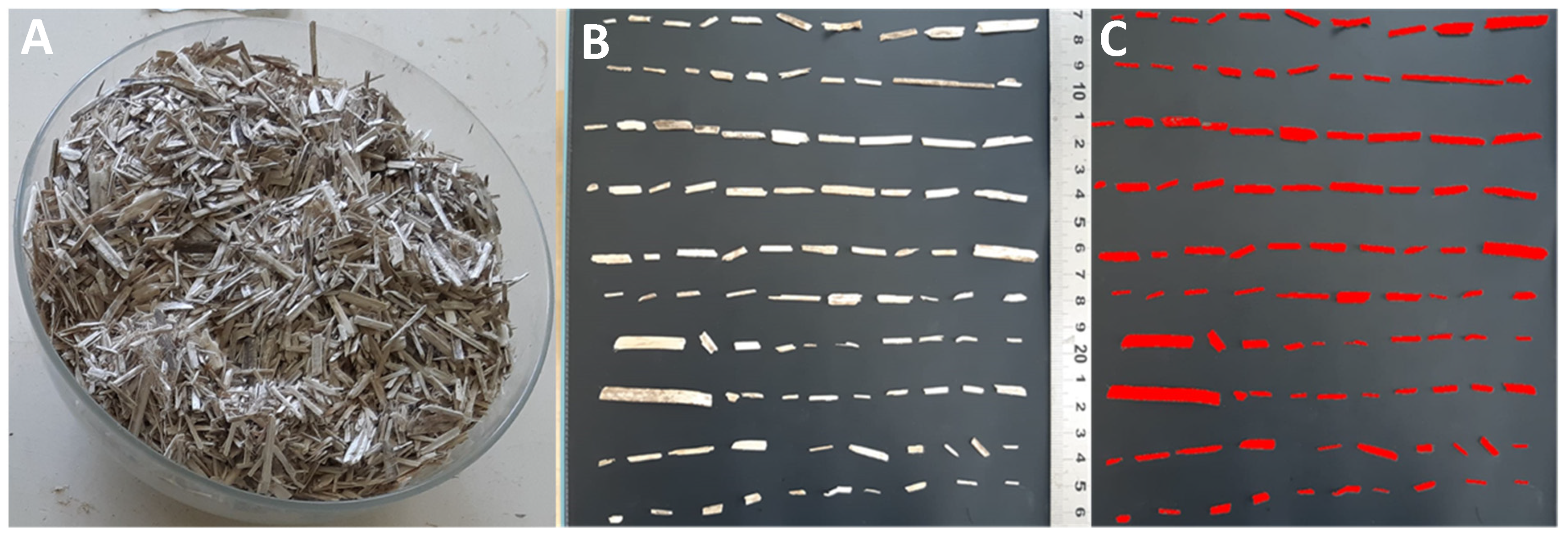 Jcs 06 00003 g002 550