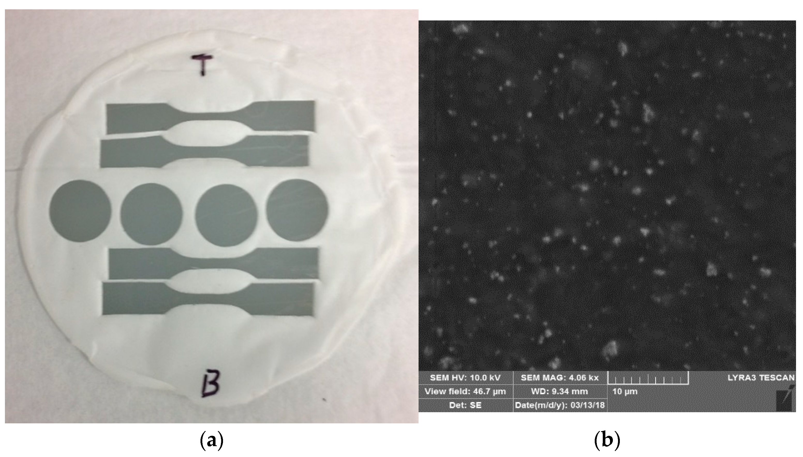 Jcs 06 00012 g001 550