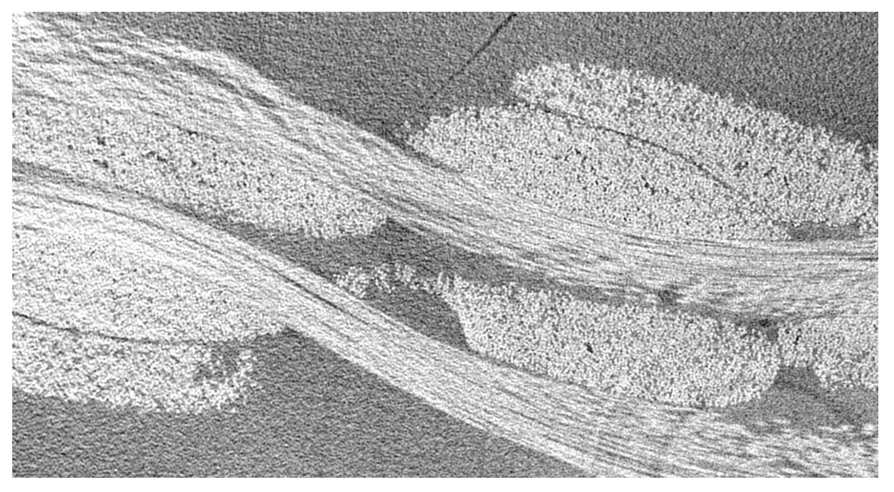 Jcs 06 00014 g011 550