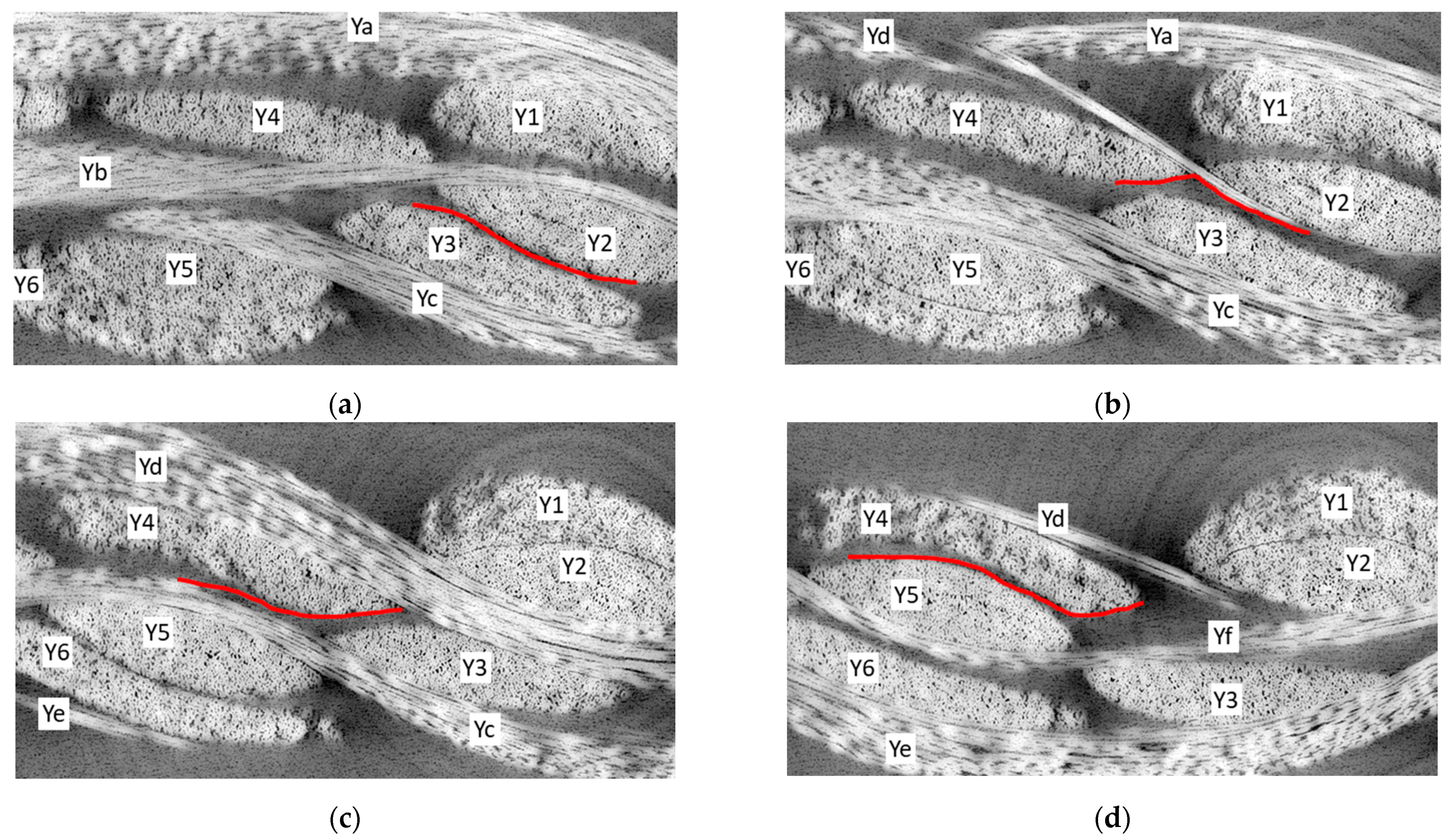 Jcs 06 00014 g015 550