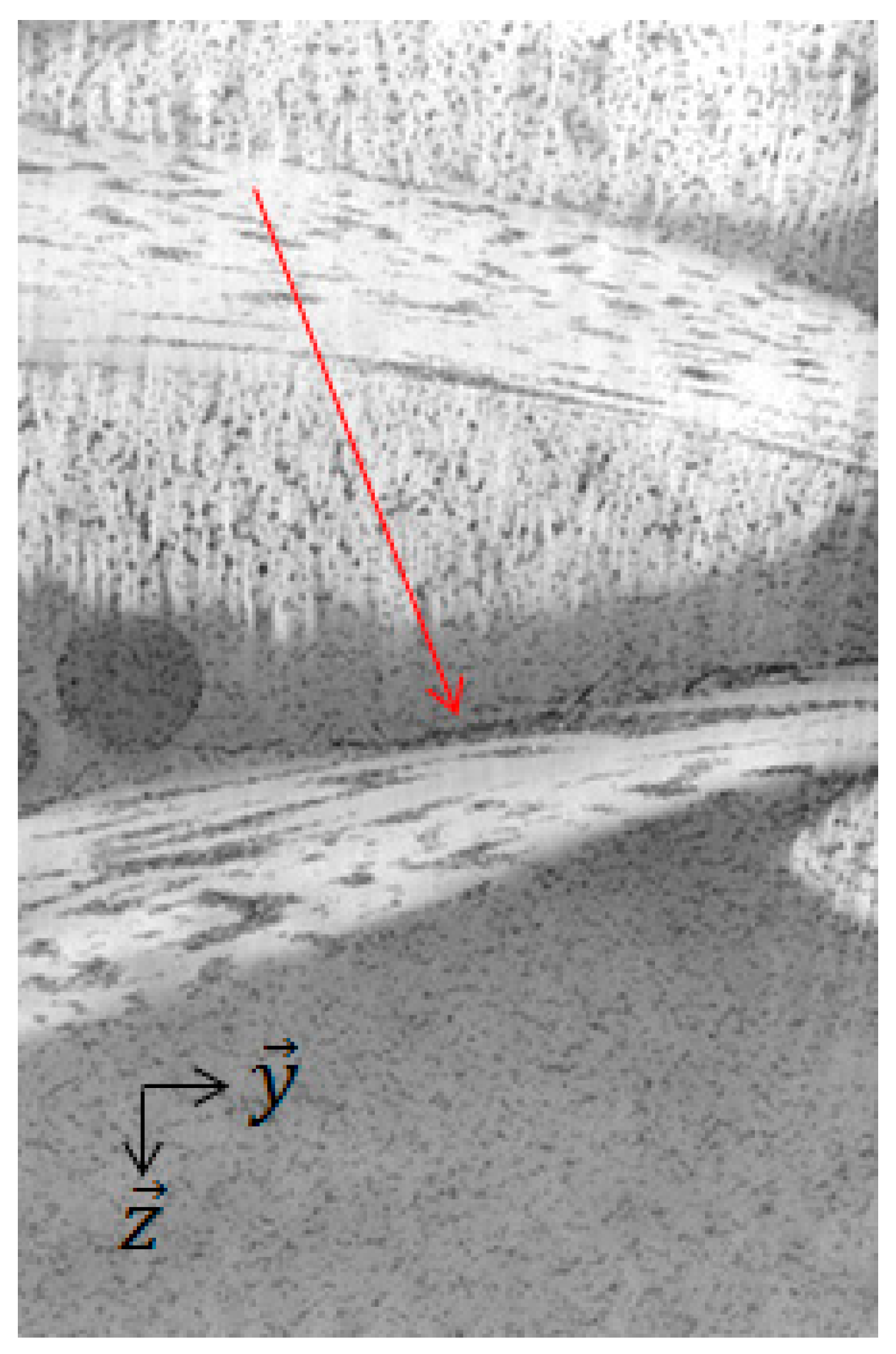 Jcs 06 00014 g016 550