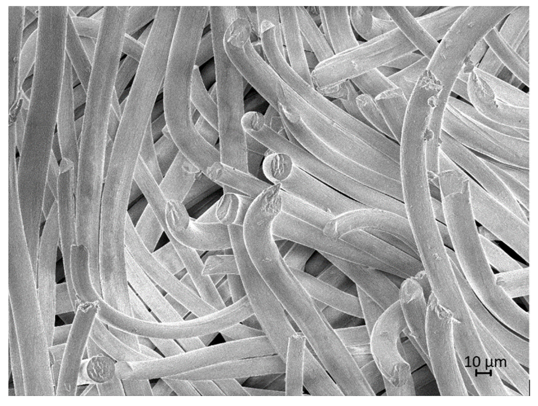 Jcs 06 00050 g007 550