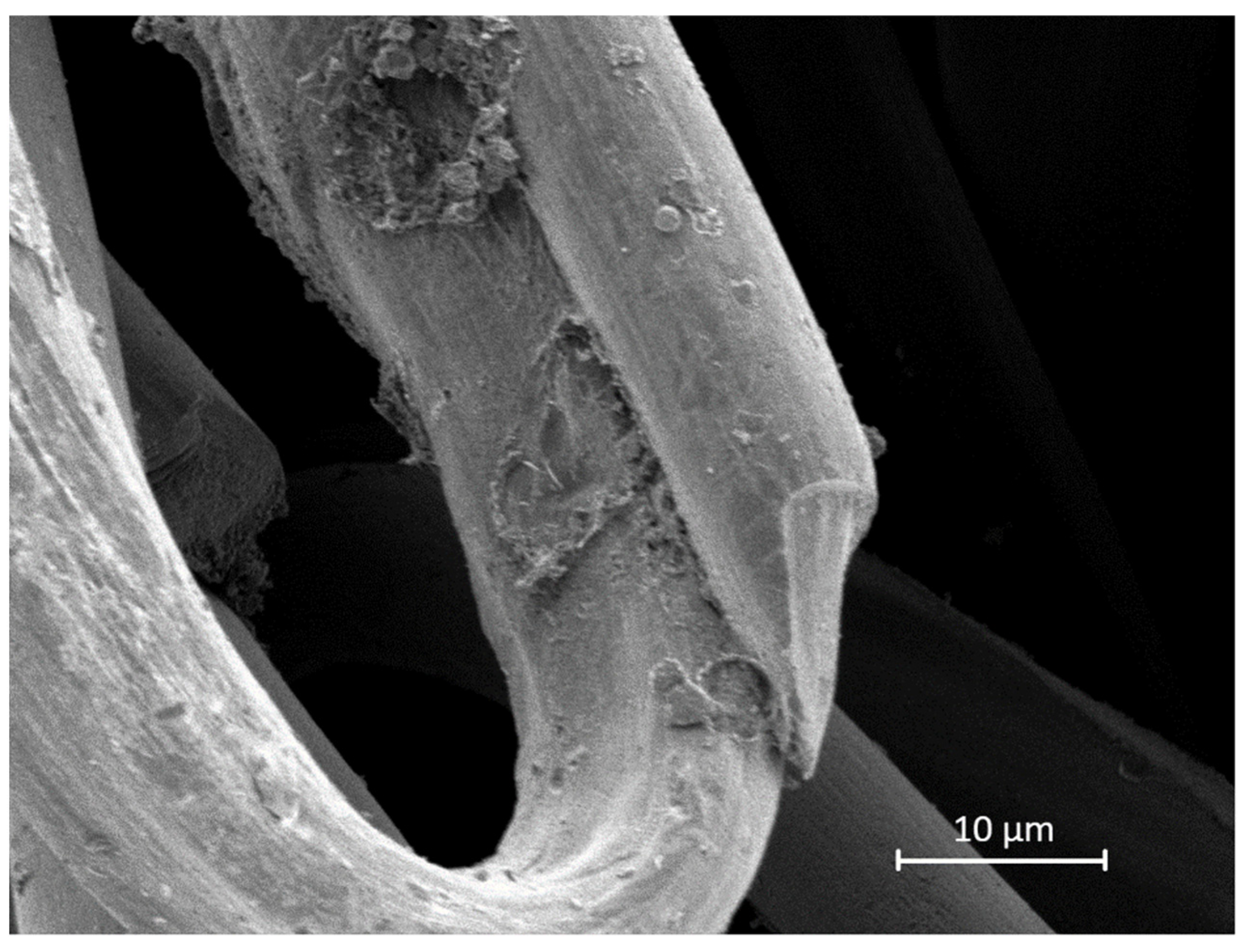 Jcs 06 00050 g008 550