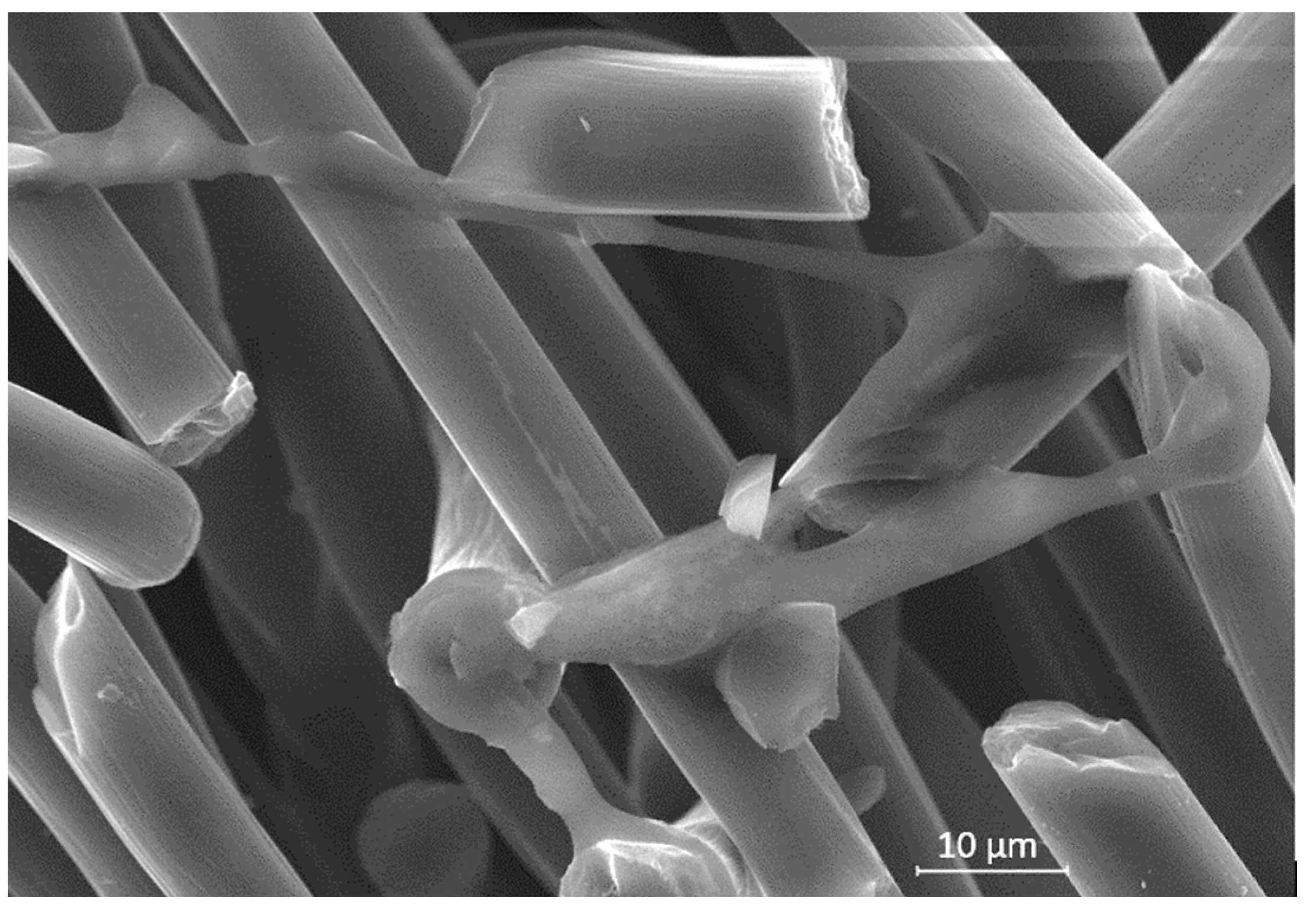 Jcs 06 00050 g010 550