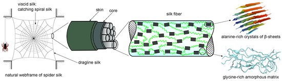 The effect of ageing on the mechanical properties of the silk of