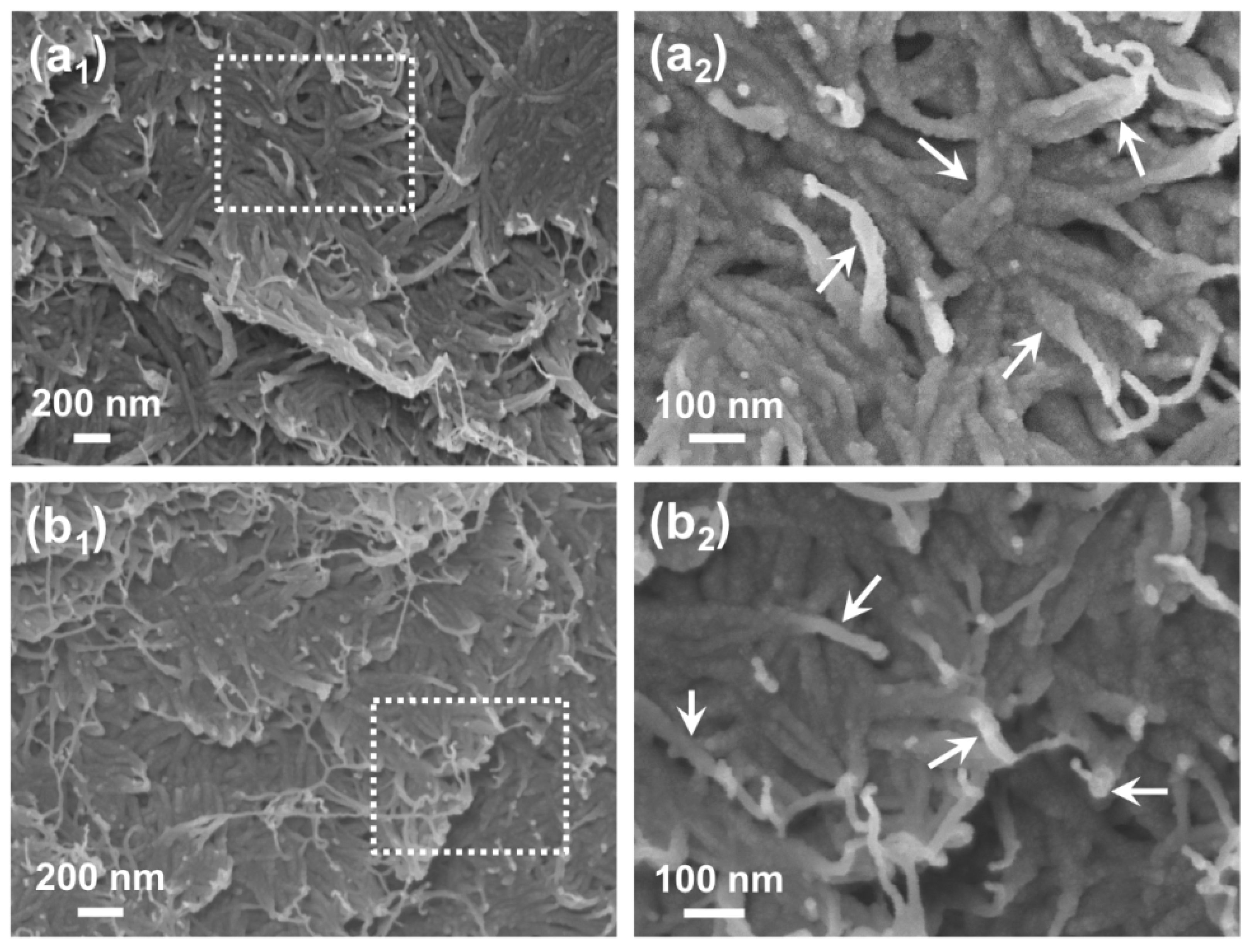 Jcs 06 00122 g006 550