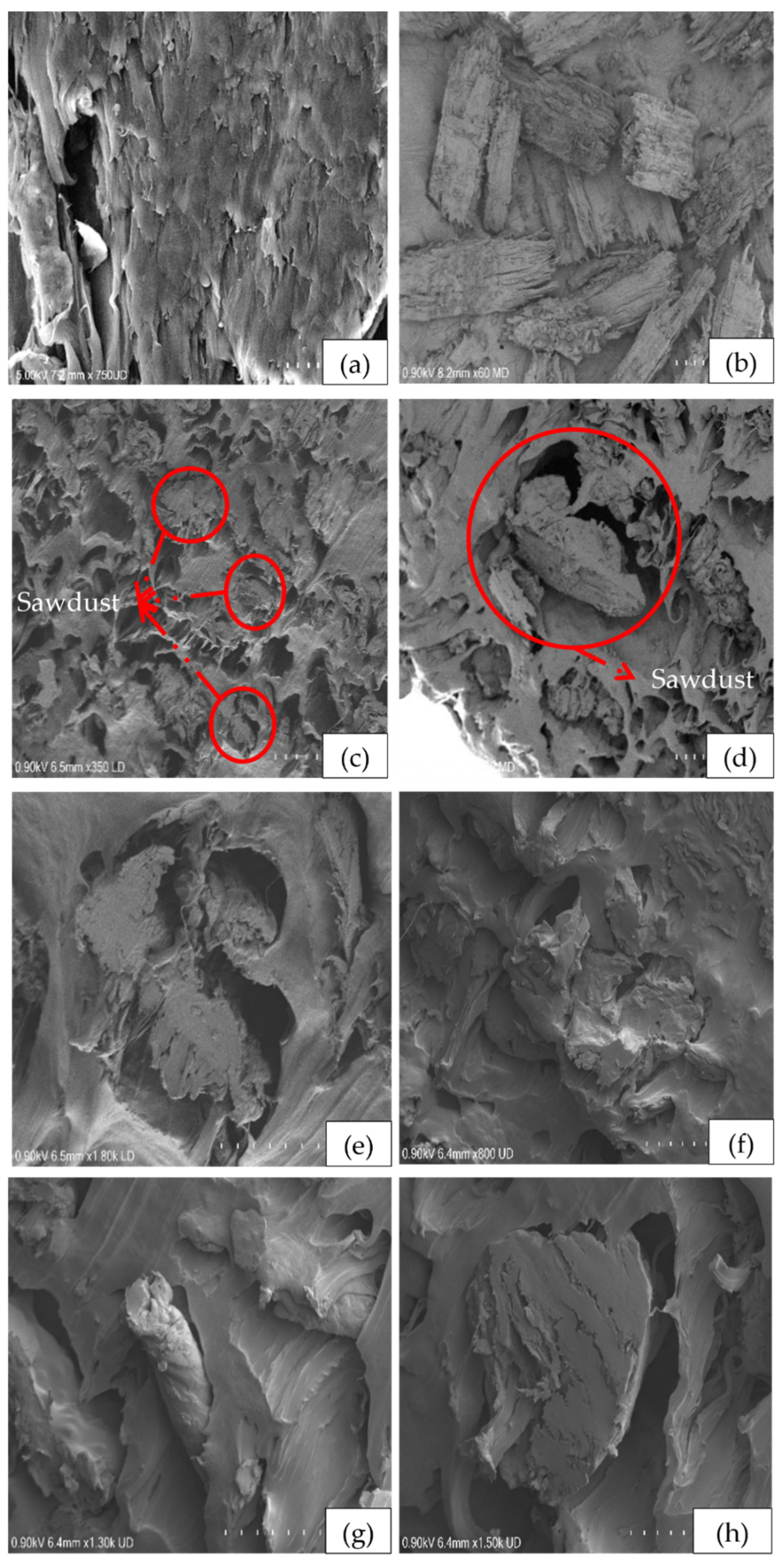 Jcs 06 00194 g003 Jcs 06 00194 g003