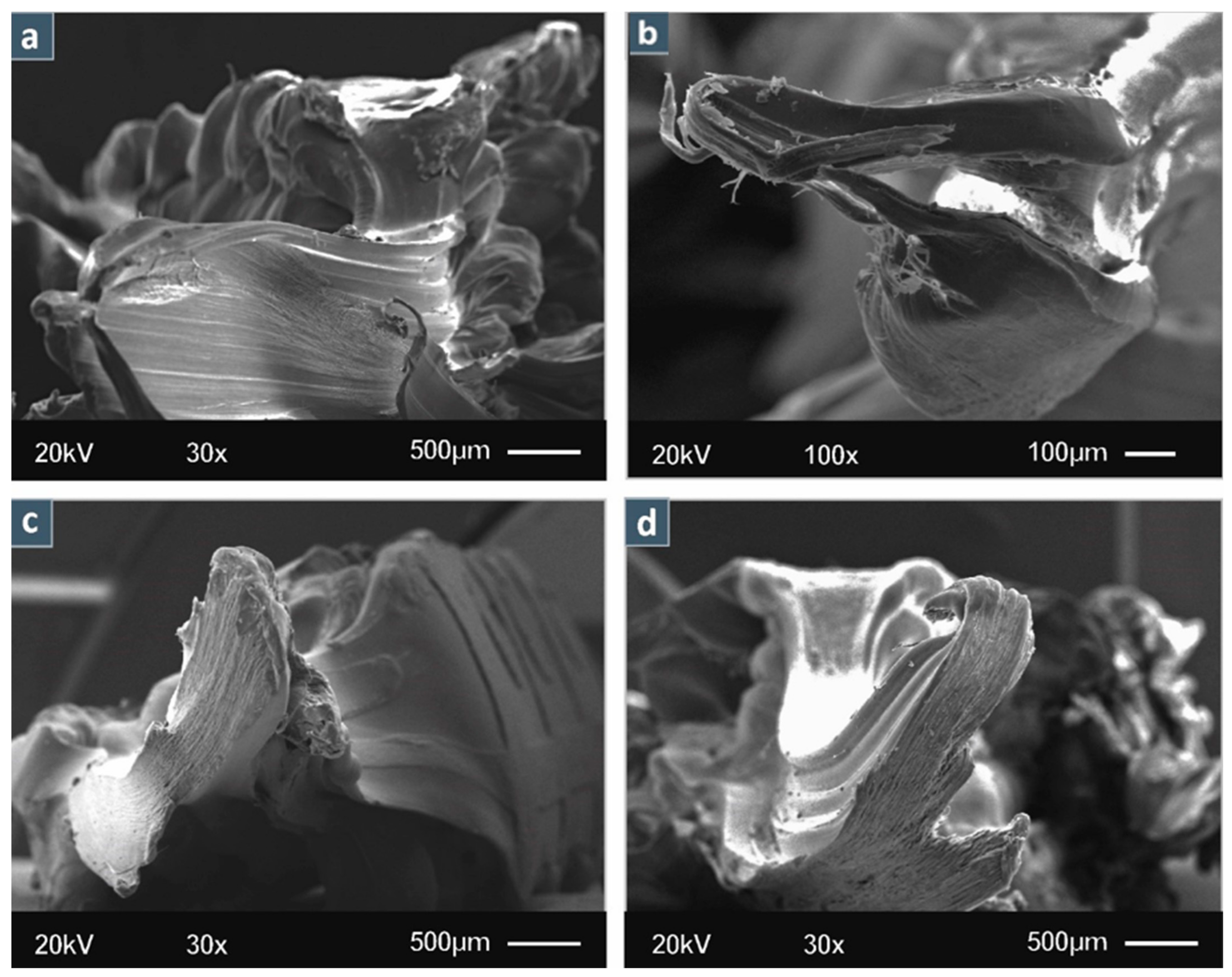 Jcs 06 00209 g008 550