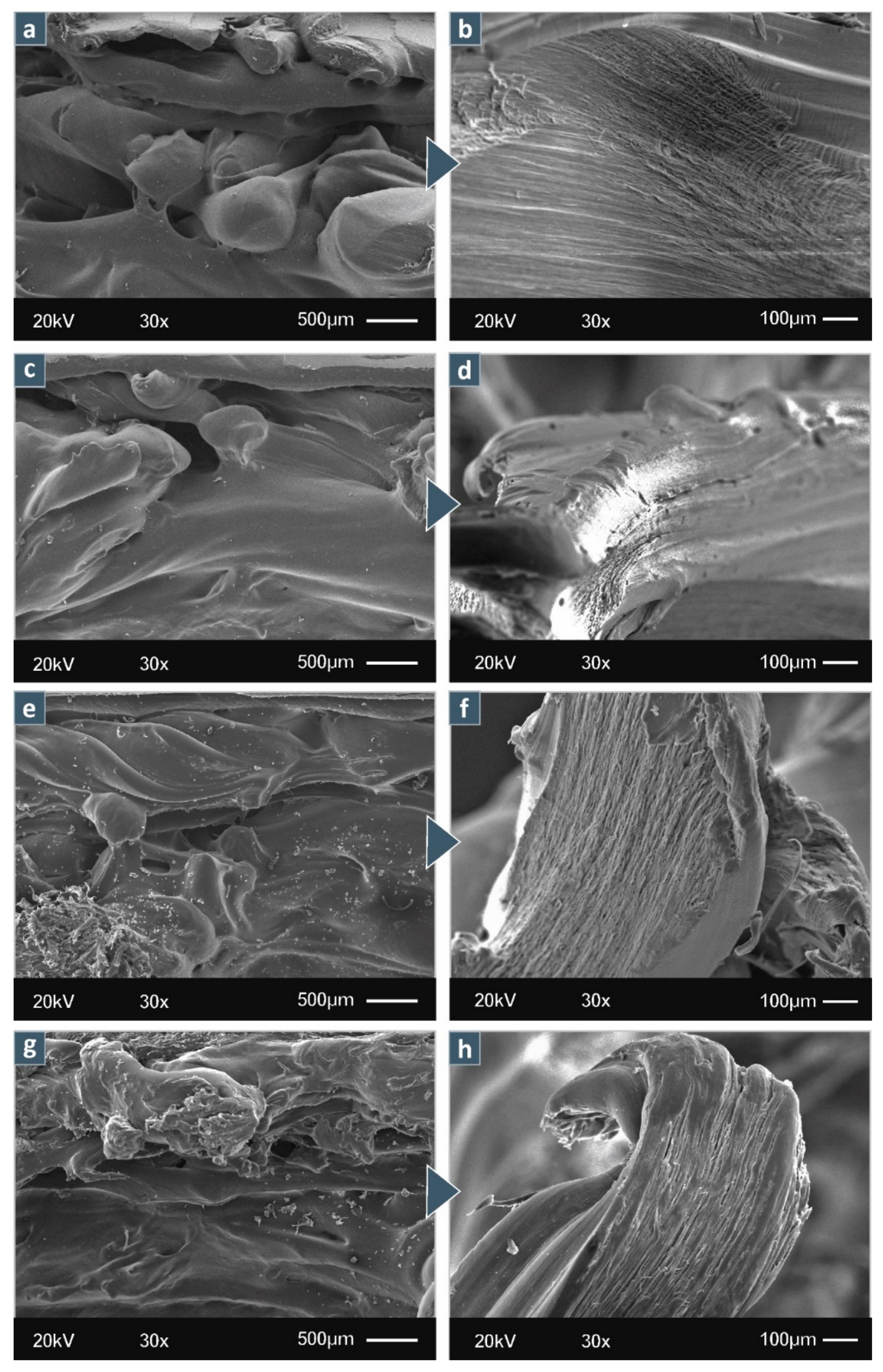 Jcs 06 00209 g009 550