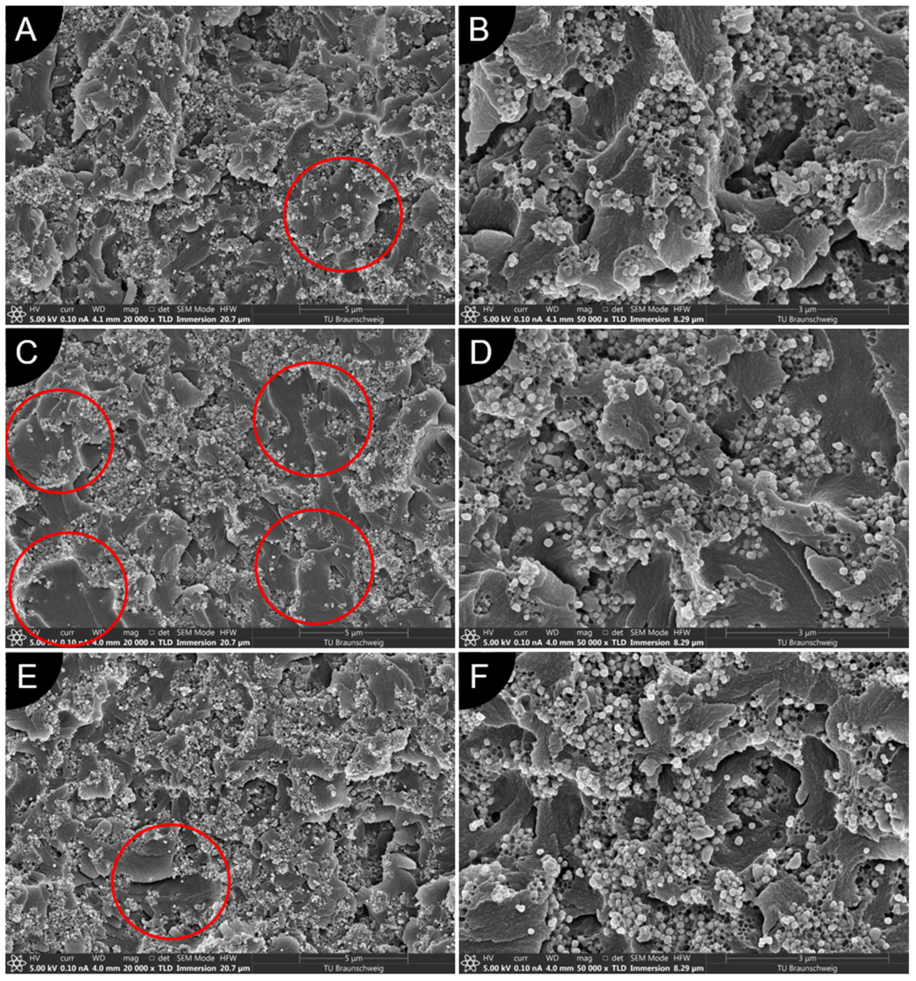 Jcs 06 00212 g005 550