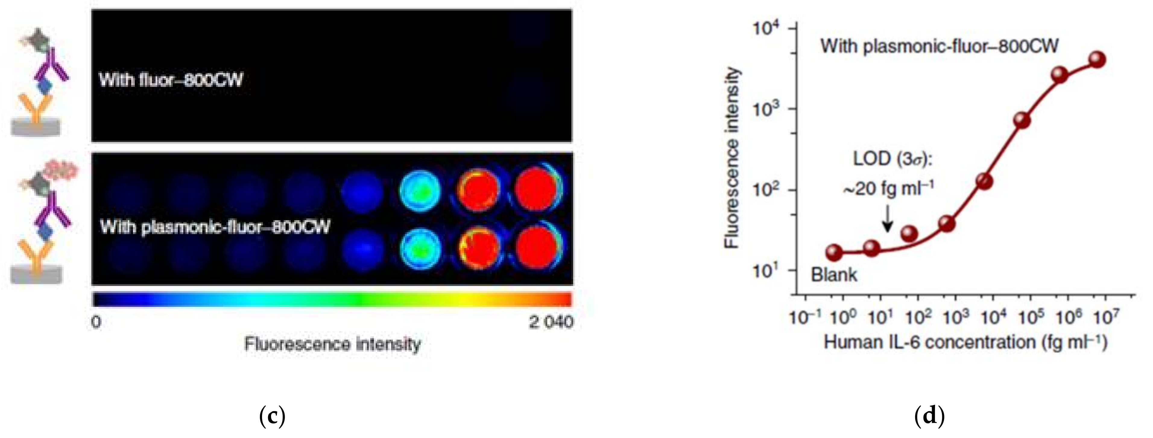 Jcs 06 00218 g002b Jcs 06 00218 g002b