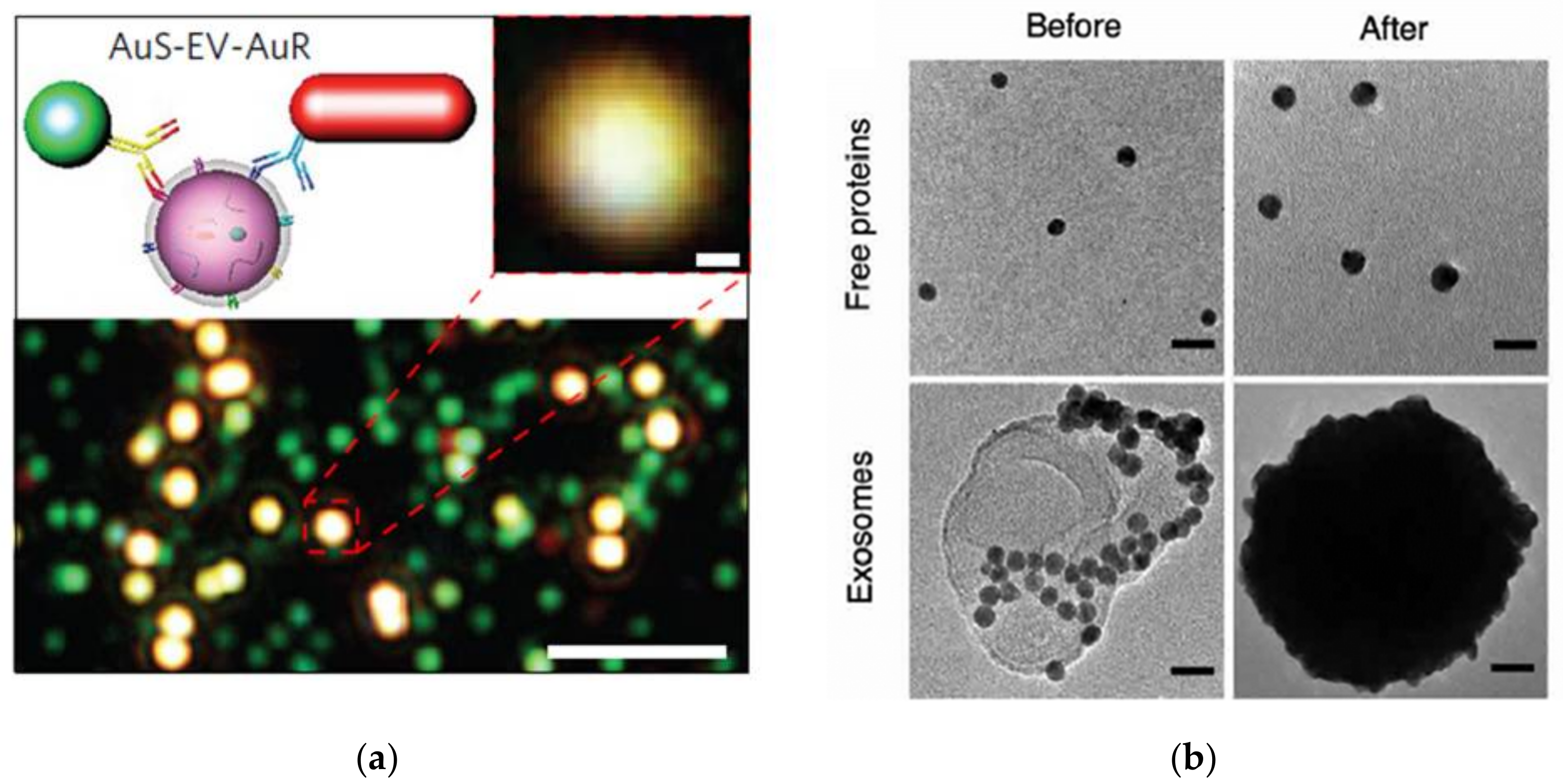 Jcs 06 00218 g004 Jcs 06 00218 g004