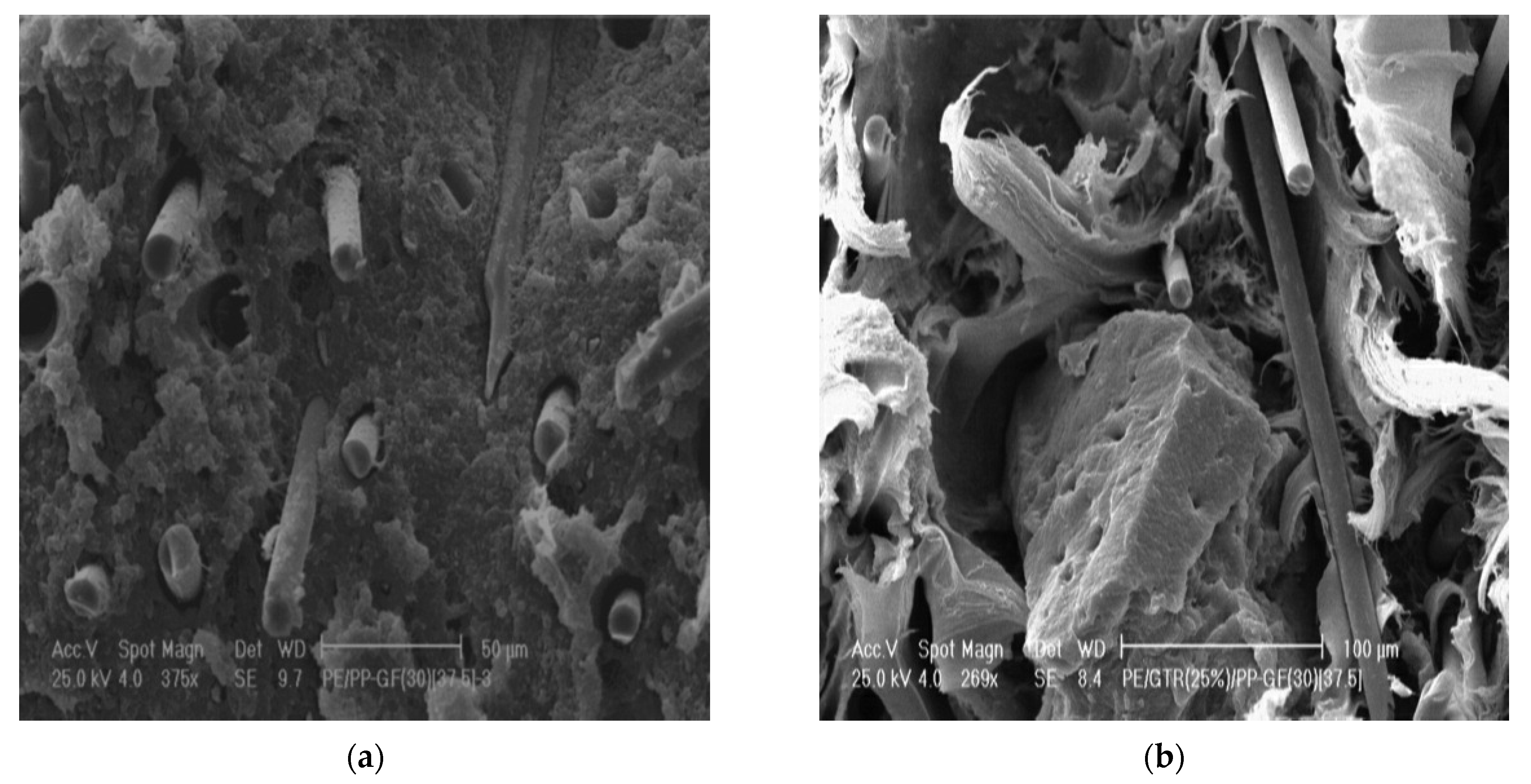 Jcs 06 00225 g010 550