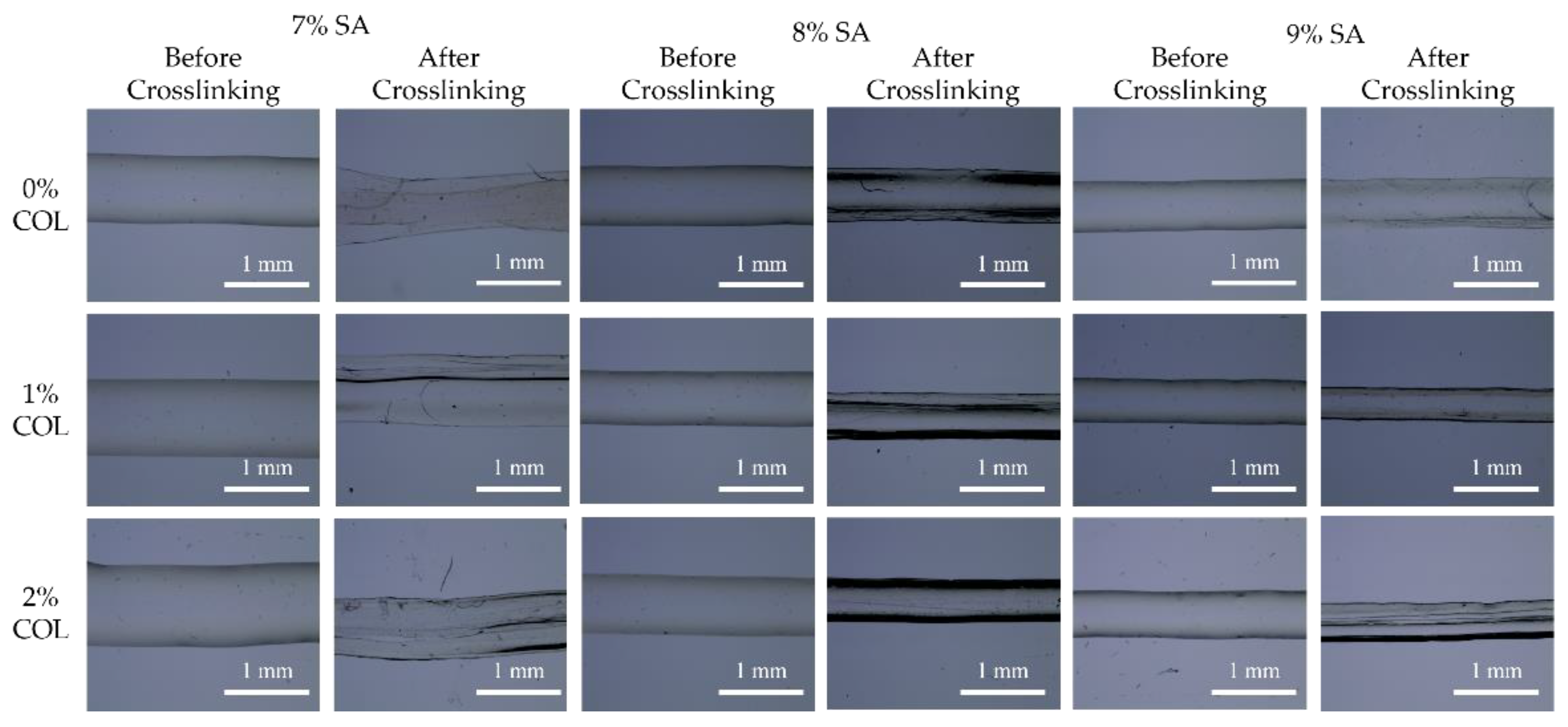 Jcs 06 00227 g006 550