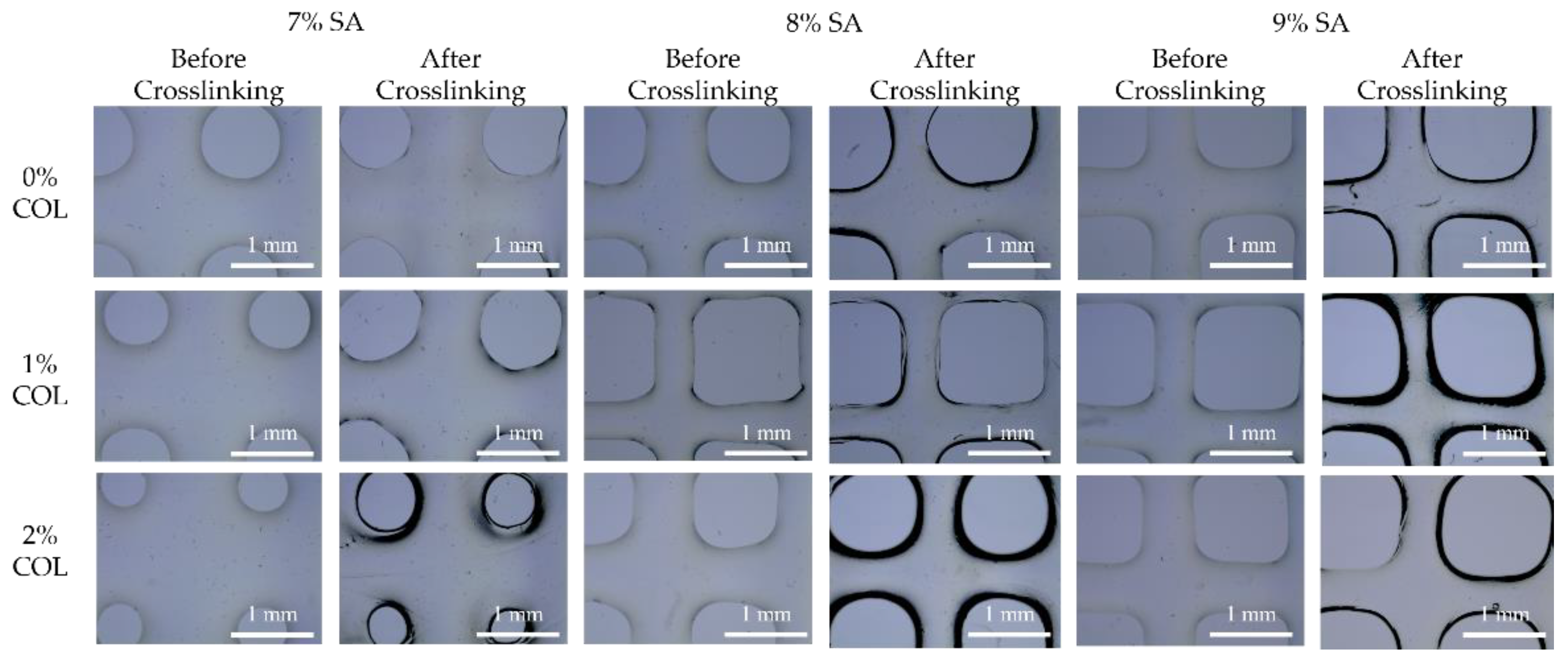 Jcs 06 00227 g007 550