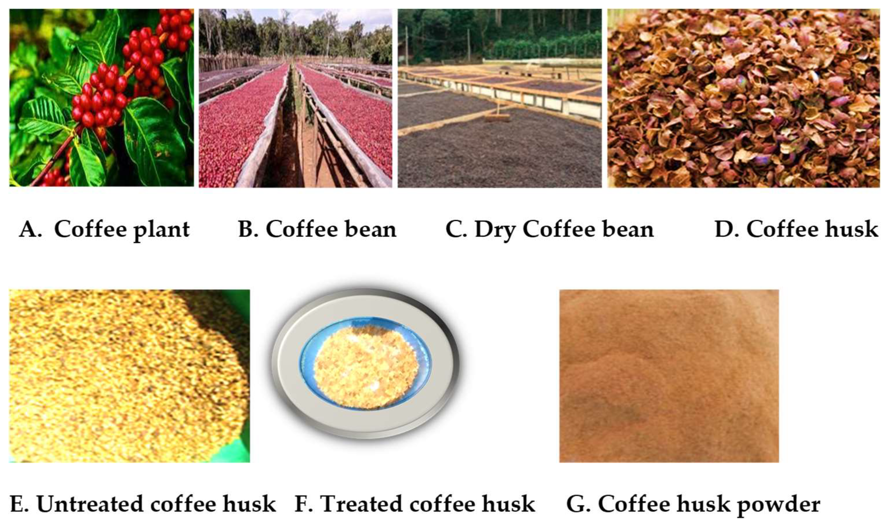 Jcs 06 00233 g001 550