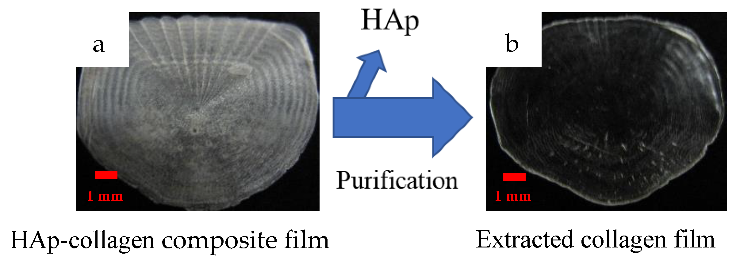 Jcs 06 00236 g001 Jcs 06 00236 g001