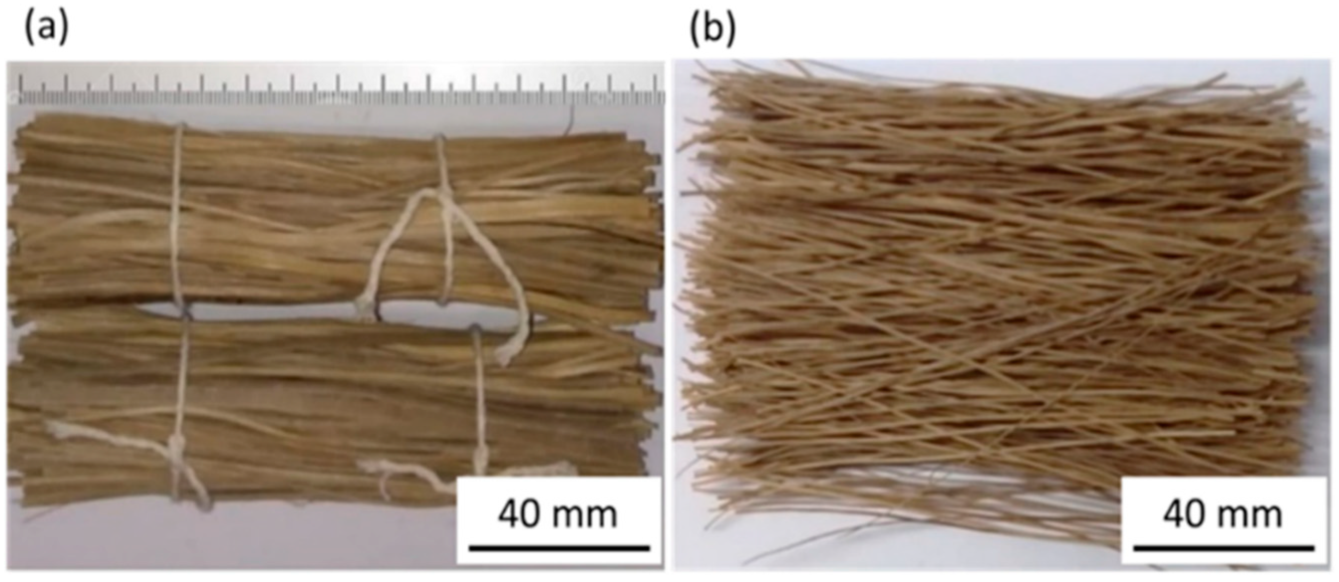 Jcs 06 00251 g002 Jcs 06 00251 g002