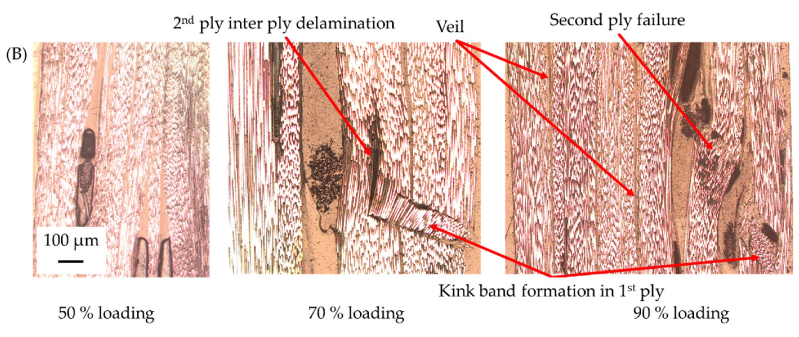 Jcs 06 00270 g008b Jcs 06 00270 g008b